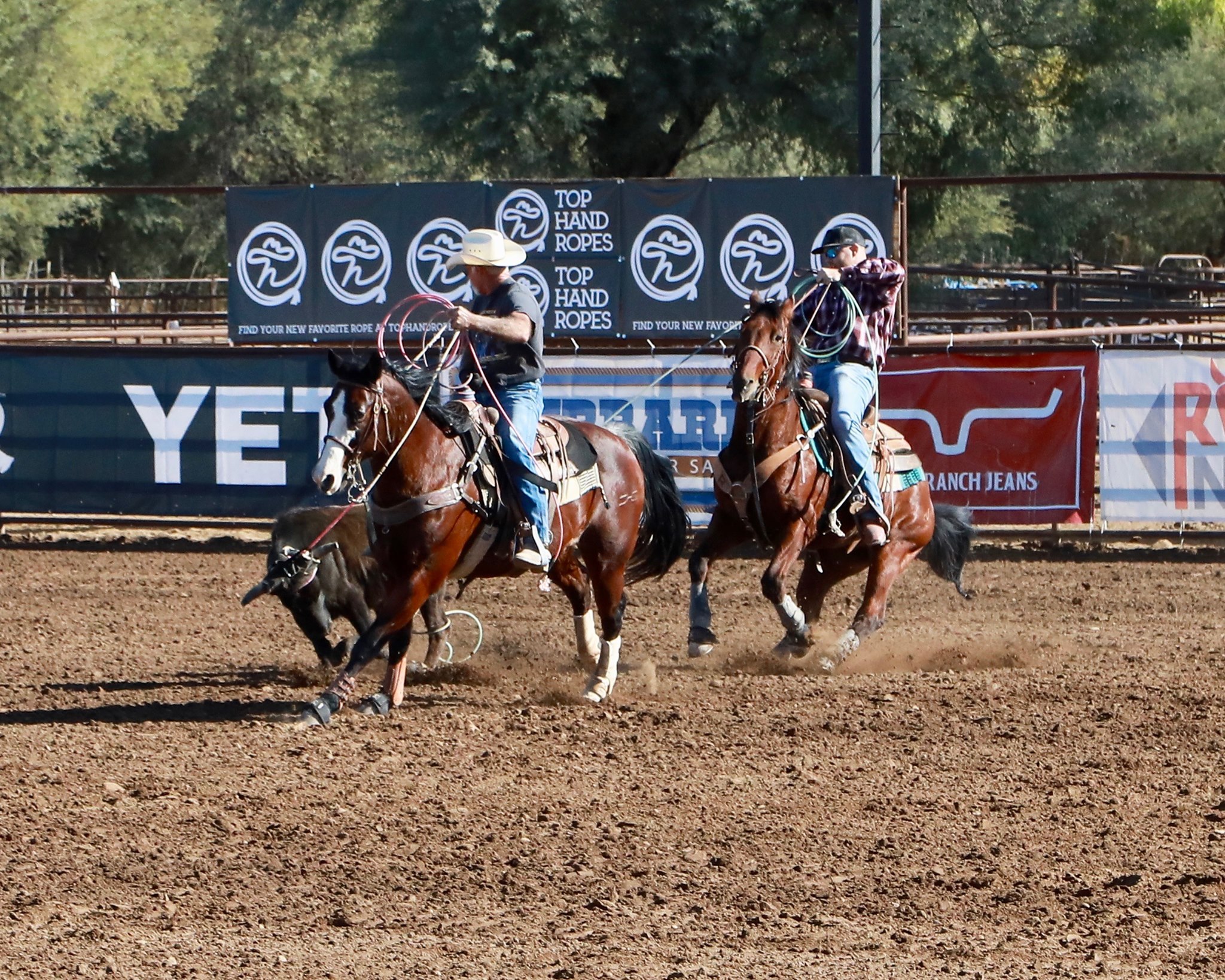 Diamond J Horses | Provo UT