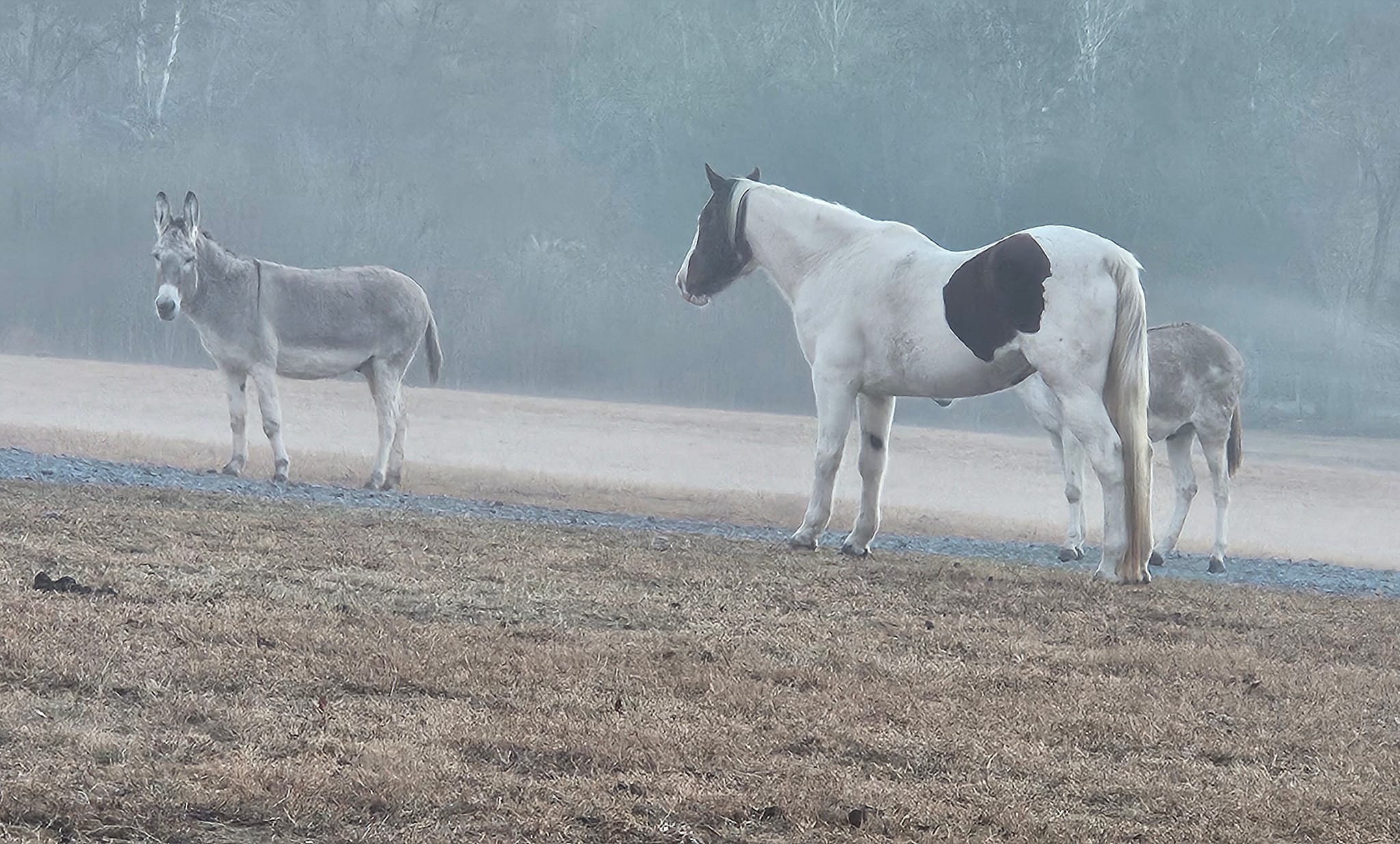 Sunset Ridge Acres | Decatur TN
