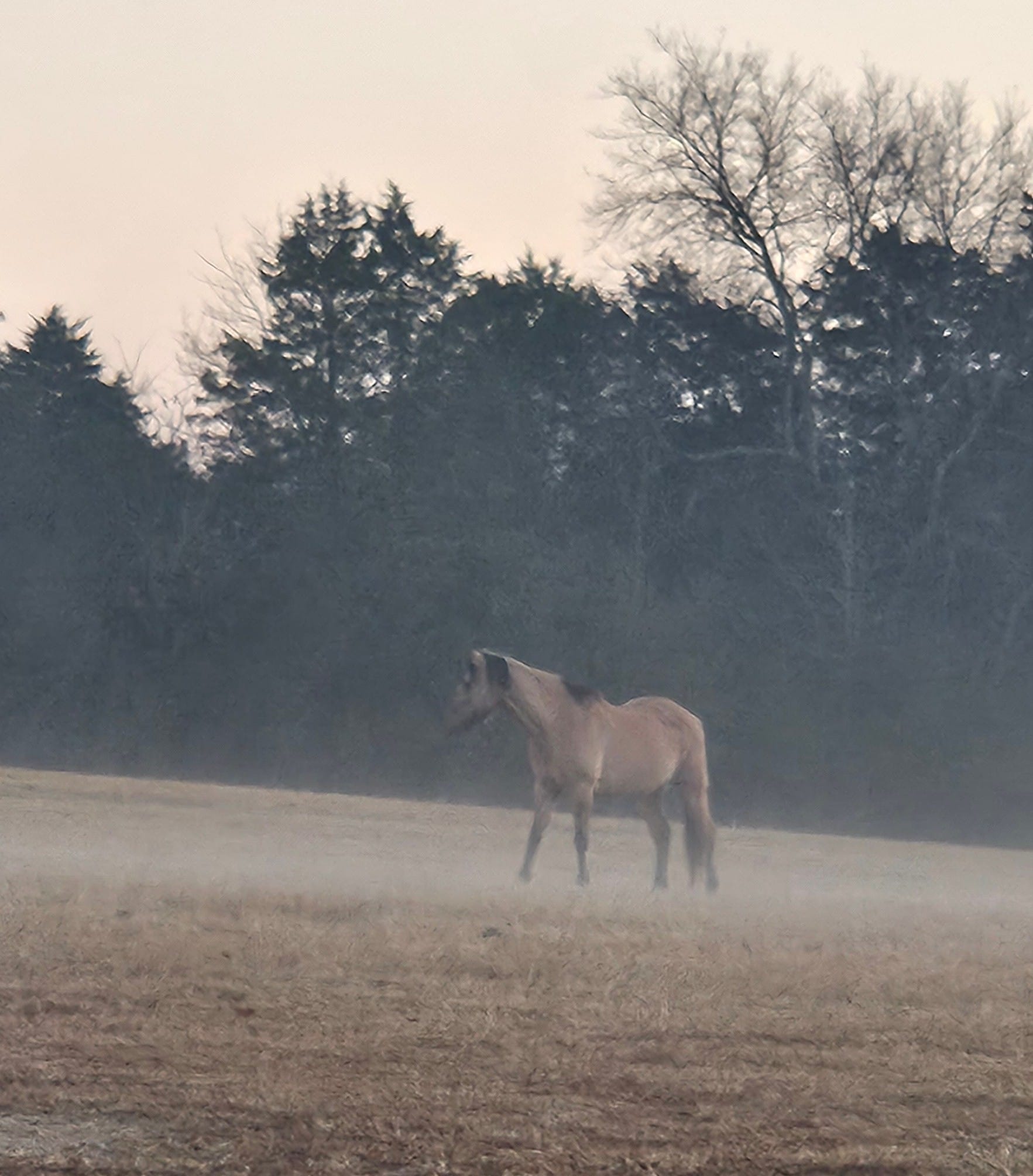 Sunset Ridge Acres | Decatur TN