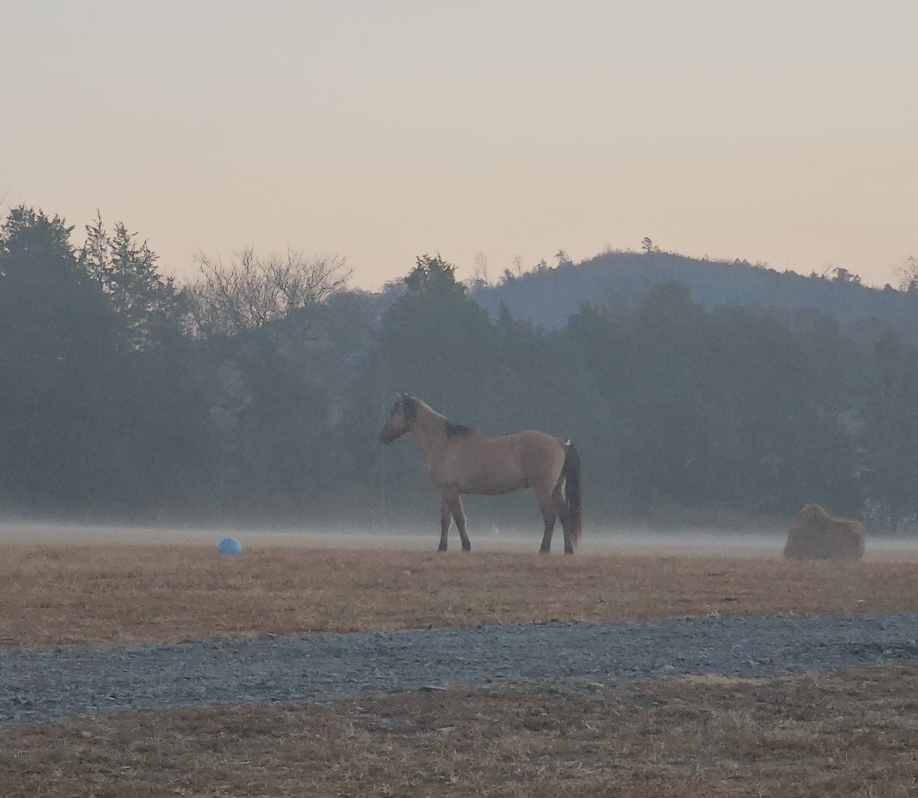 Sunset Ridge Acres | Decatur TN
