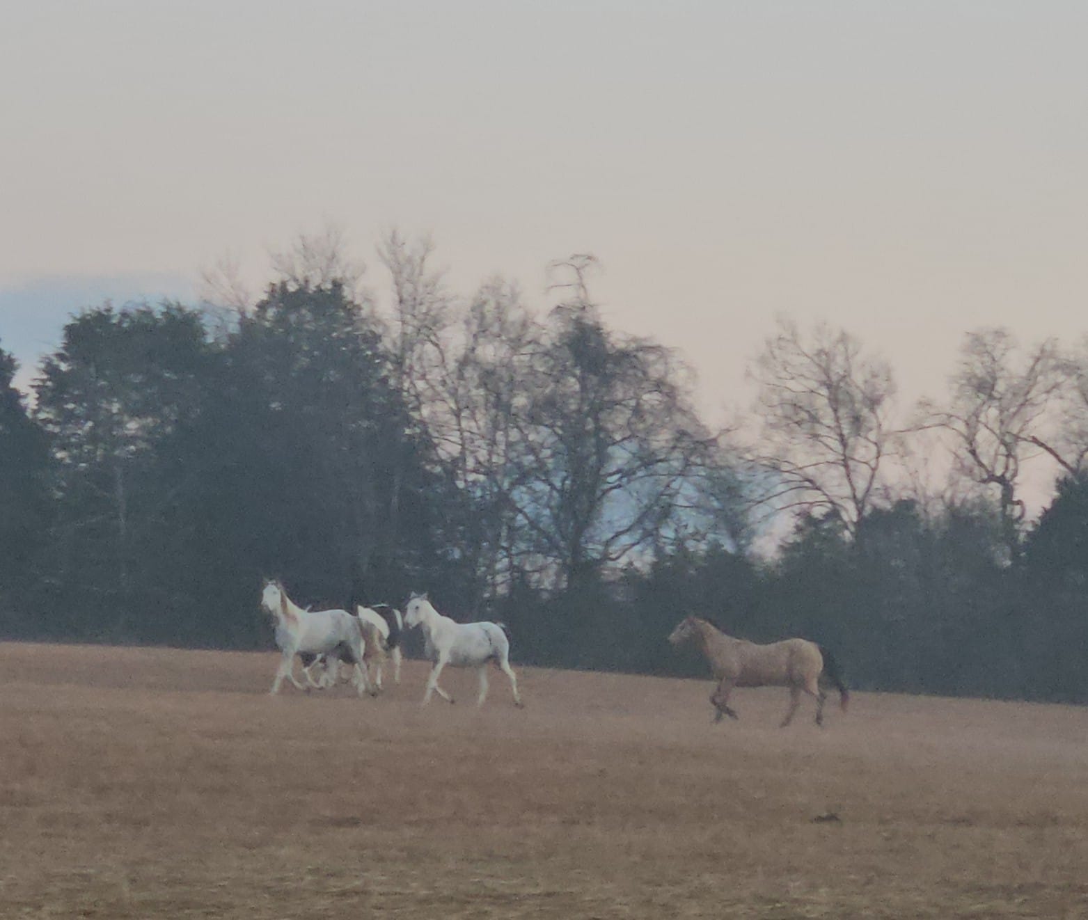 Sunset Ridge Acres | Decatur TN