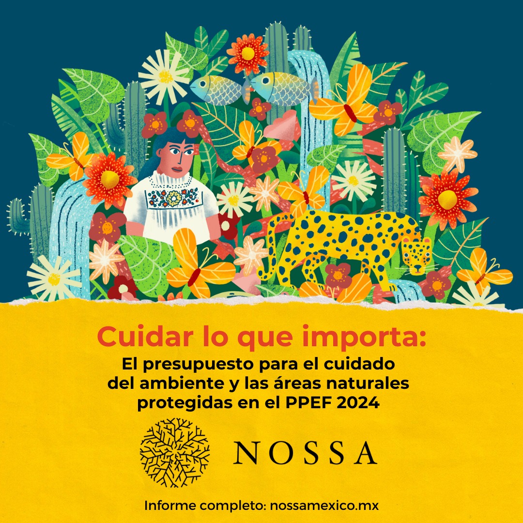 Nuestras... - Centro Mexicano Derecho Ambiental - CEMDA | Facebook