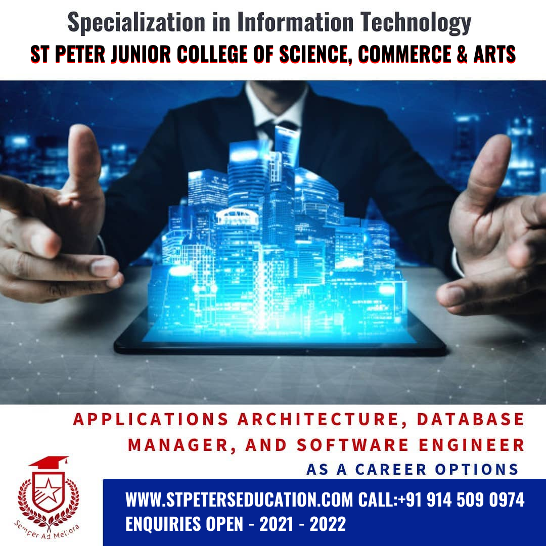 Saint - Applications Architecture, in addition to Database Manager, and ...