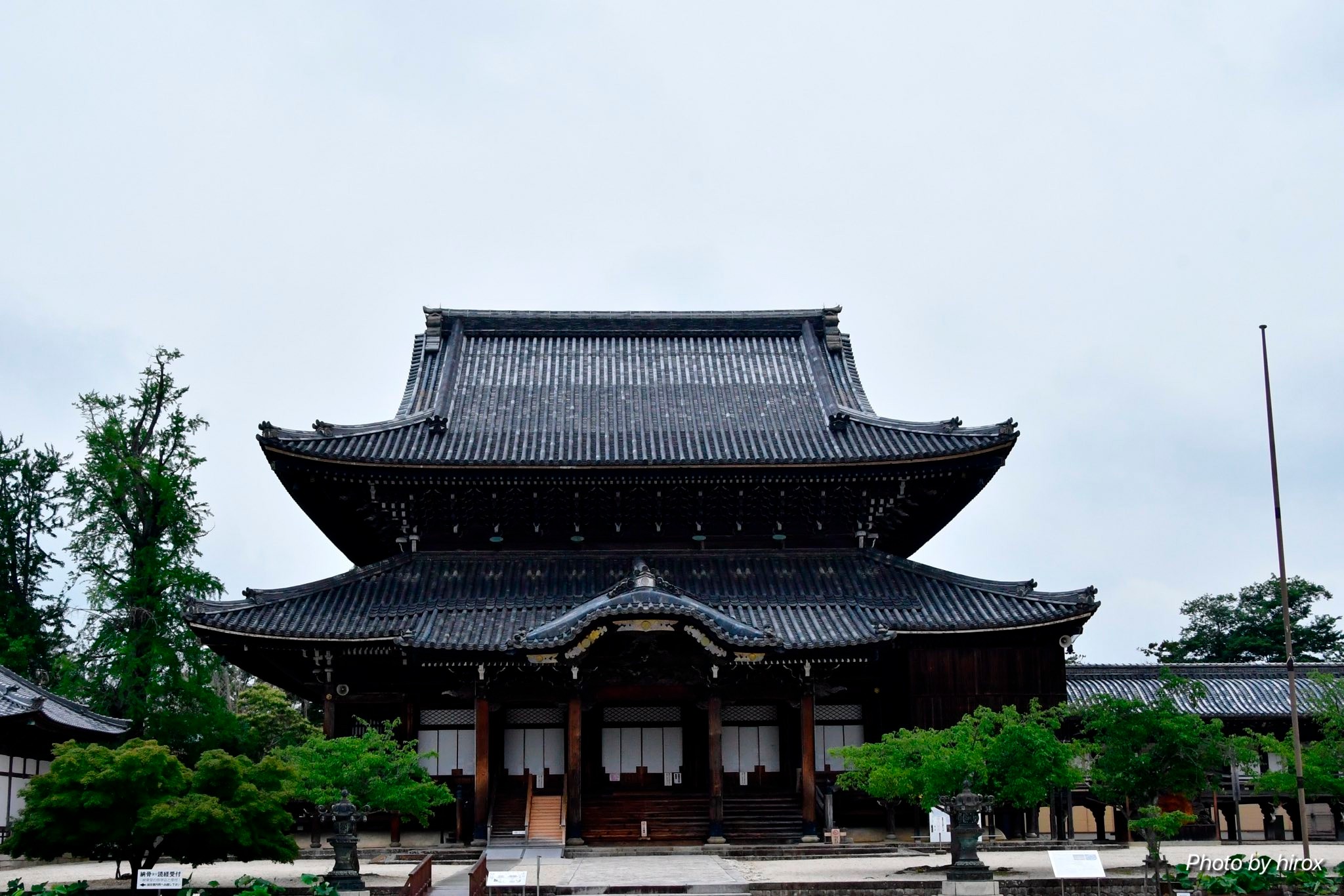 一身田の“専修寺 ”様で花蓮が咲き初めたとの情報を得て参拝させて頂き 