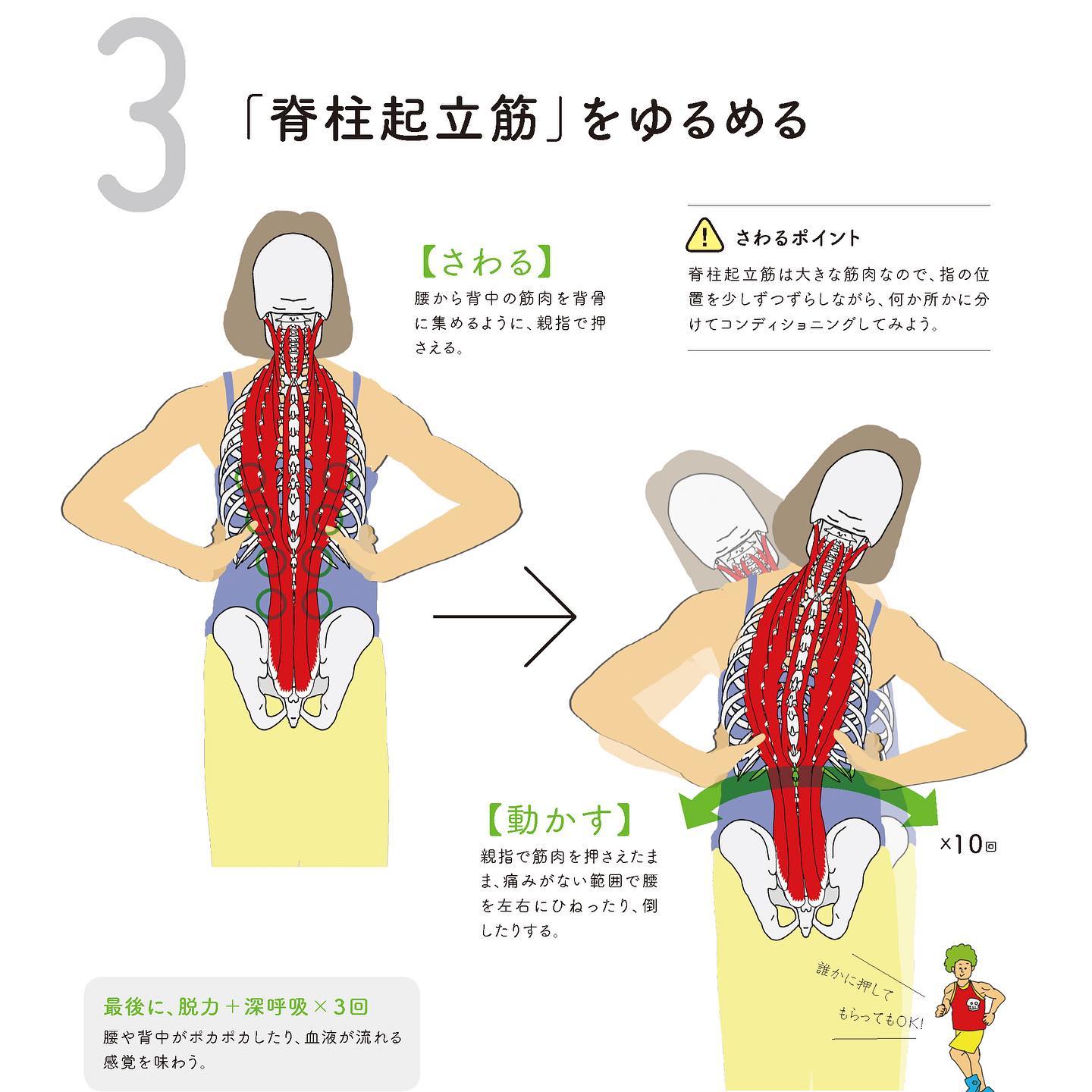 世界一 ゆる く学ぶ イラスト解剖学教室 Added A New Photo 世界一 ゆる く学ぶ イラスト解剖学教室