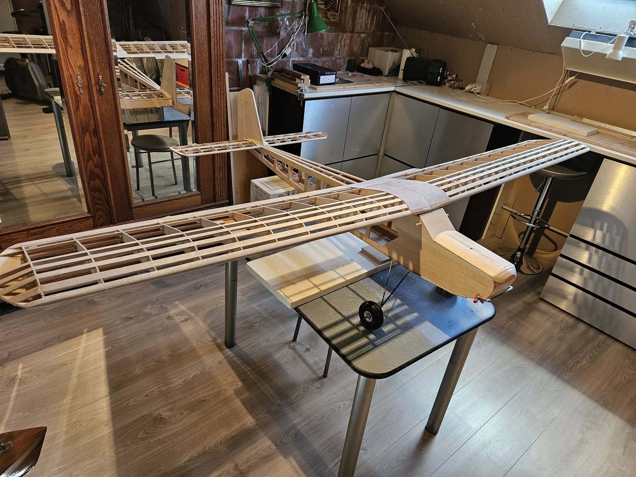 The Telemaster craze is back Here's mine in 240 cm. Entirely
