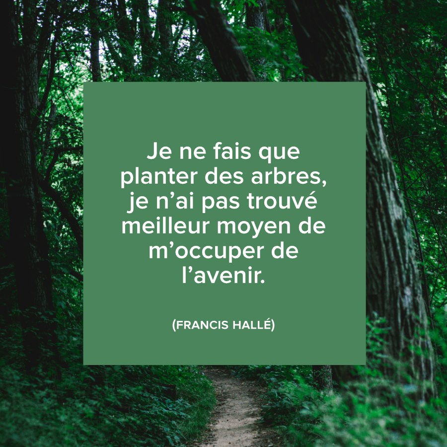 Reforest Action La Citation Du Vendredi Biologiste Et Botaniste Francais Francis Halle A Consacre Sa Vie A La Connaissance Et A La Defense Des Forets Il Nous Livre Sa Devise Qui