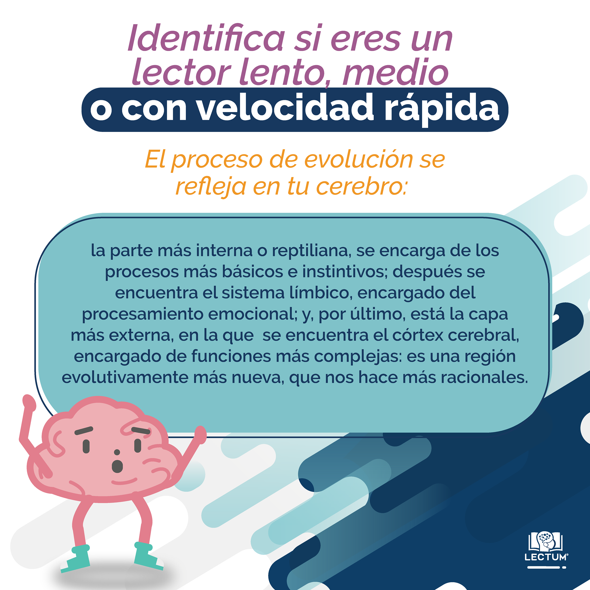 Lectum - ¡Descubre tu velocidad lectora! 📚 La dinámica para detectar tu ...