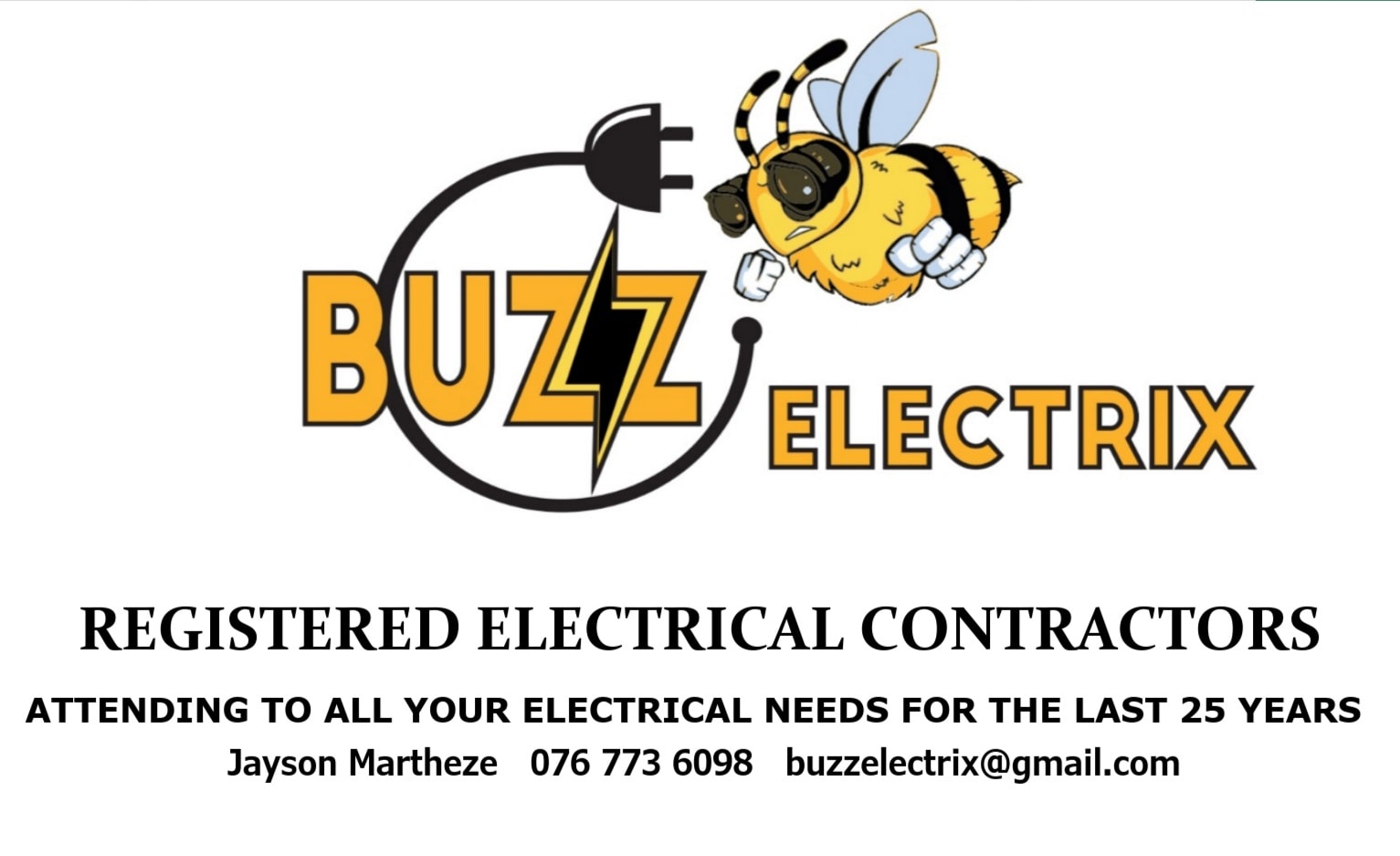 buzz-buzz-electrix-for-all-your-electrical-requirements-domestic