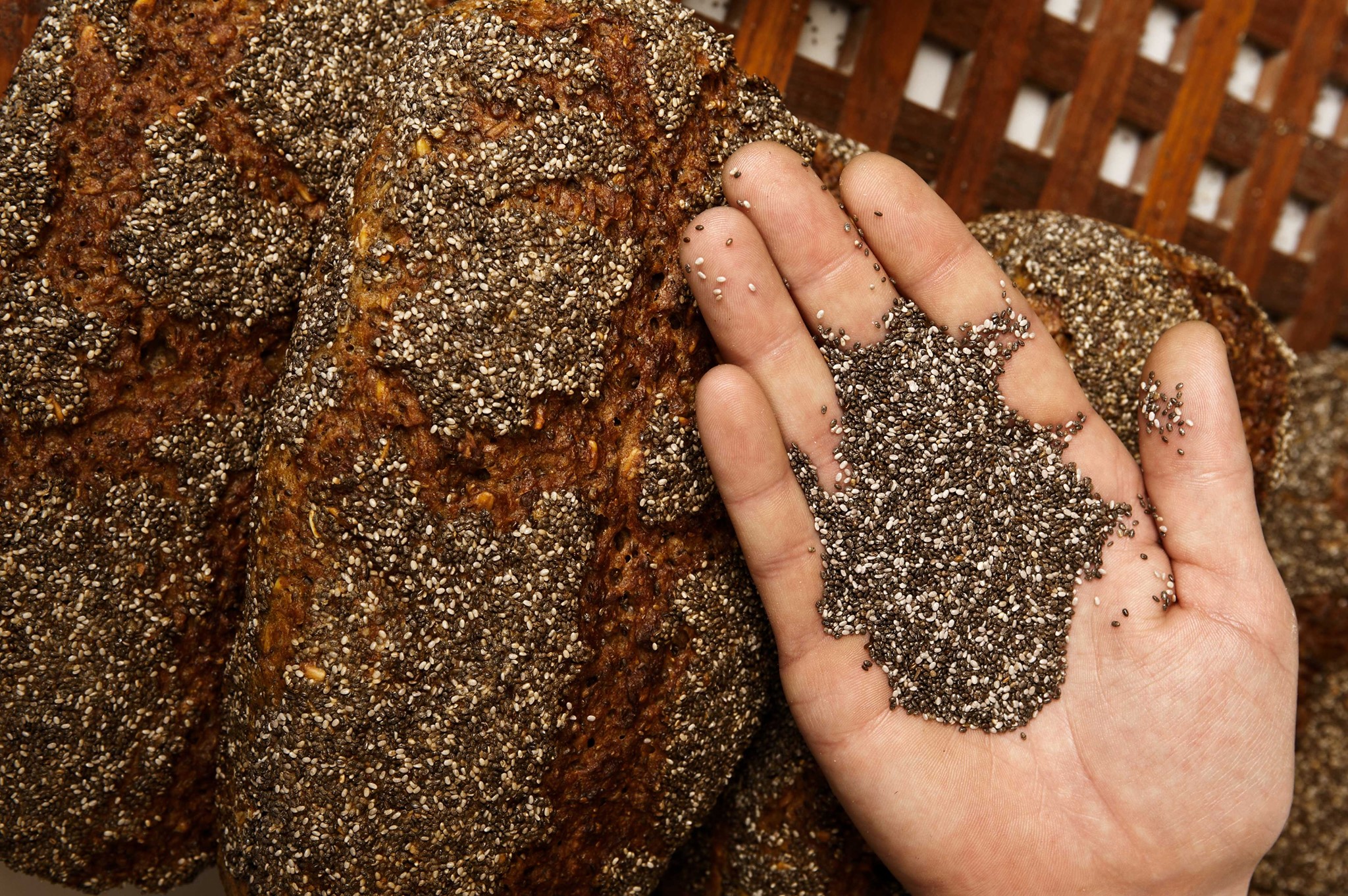 Original Chia | Sønderborg