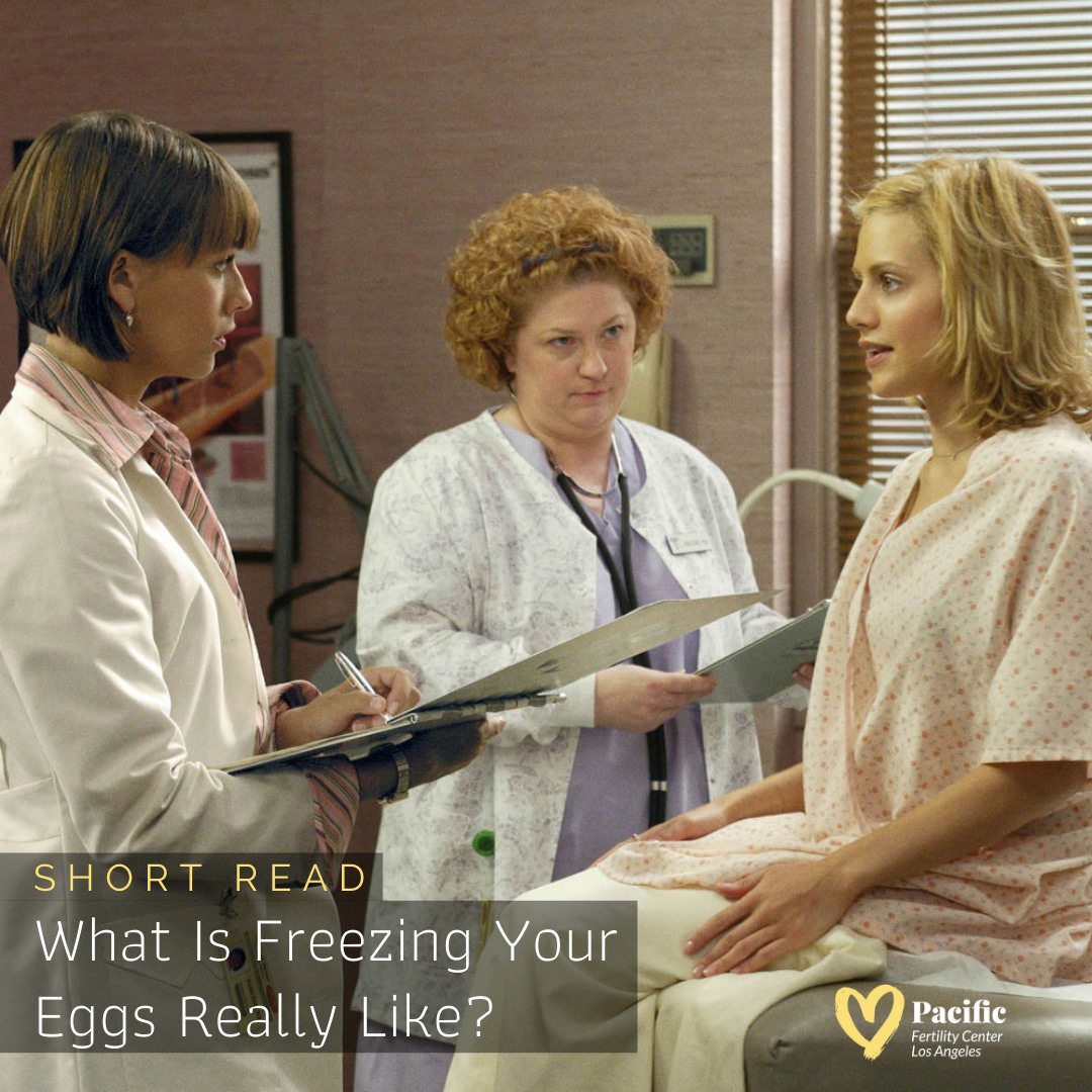 Pacific Fertility Center Los Angeles - Egg freezing, also known as ...