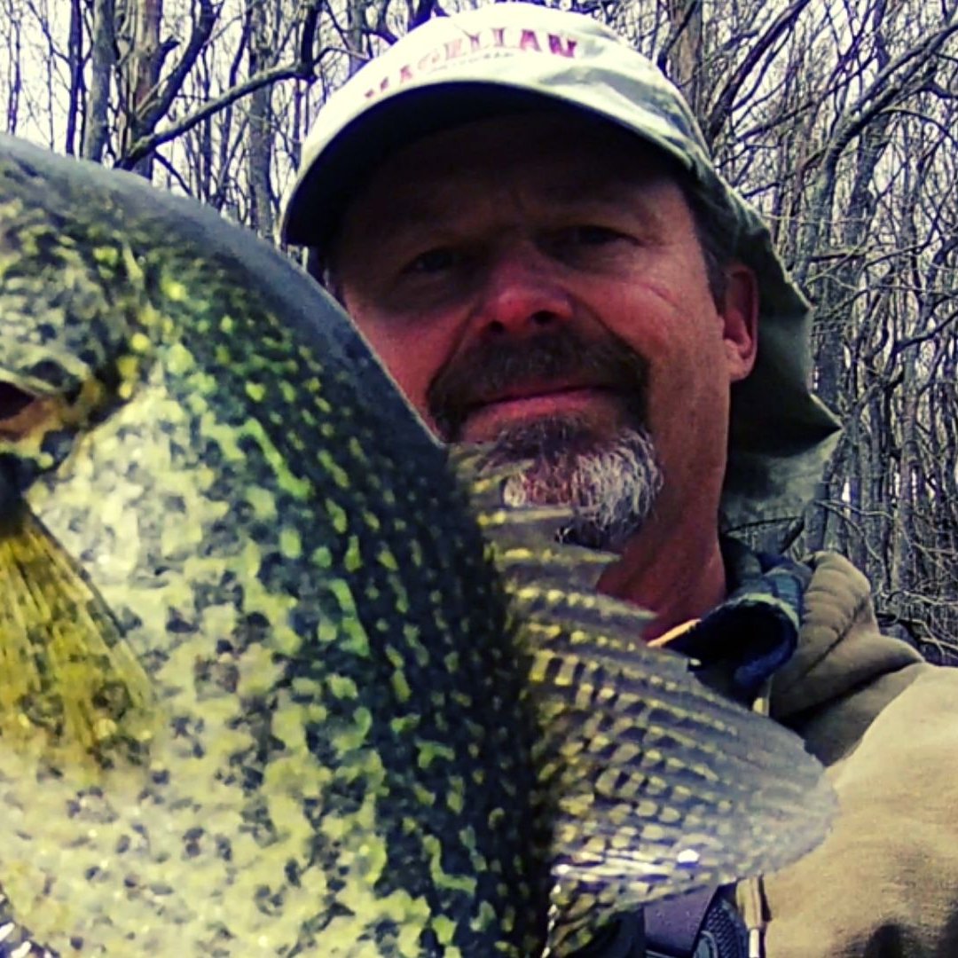 Solid Crappie October Bank fishing #fishing #crappiefishing #crappie ...