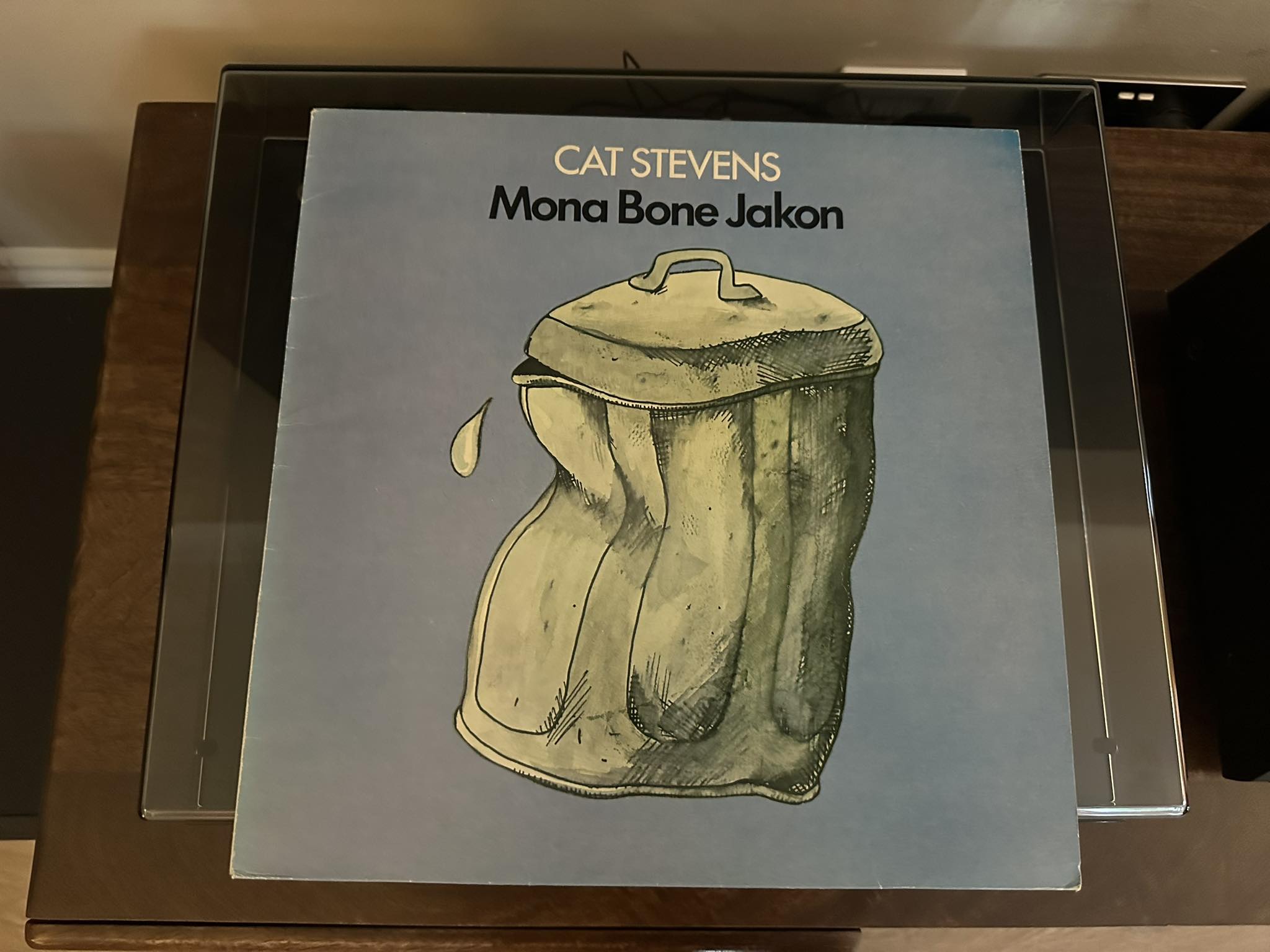 Listen to Mona Bone Jakon, the album that introduced the Cat