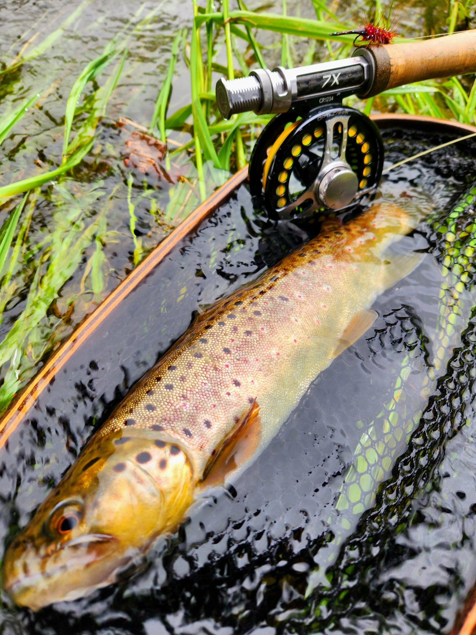 girls nike under armour backpack UA Watch Me Bags Black/White Ugly Stik Fishing Combo Its front sleeve is Bass Fly Rods Color:Possom