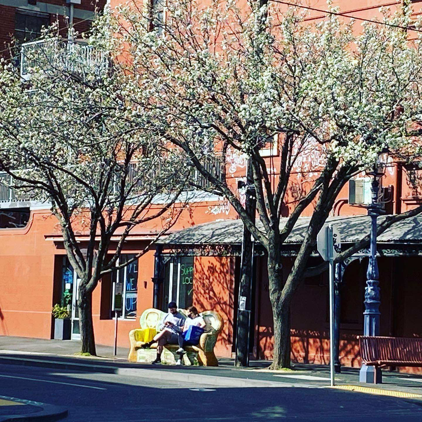 Happy first day of Spring Fitzroy!... - The Fitzroy Market