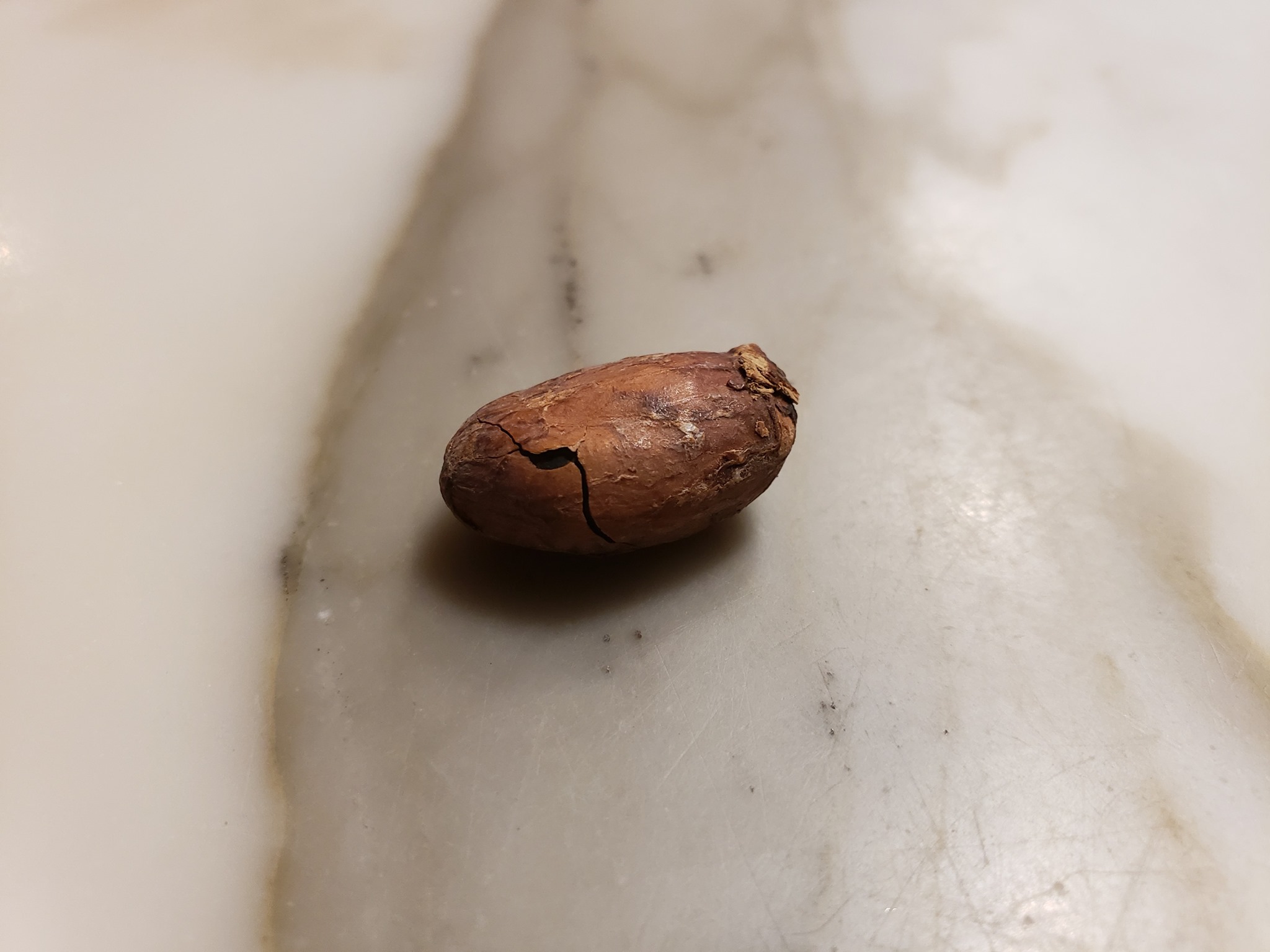 Embue cacao - 🍫 Ceremonial Cacao Making 🍫 We run tests... | Facebook