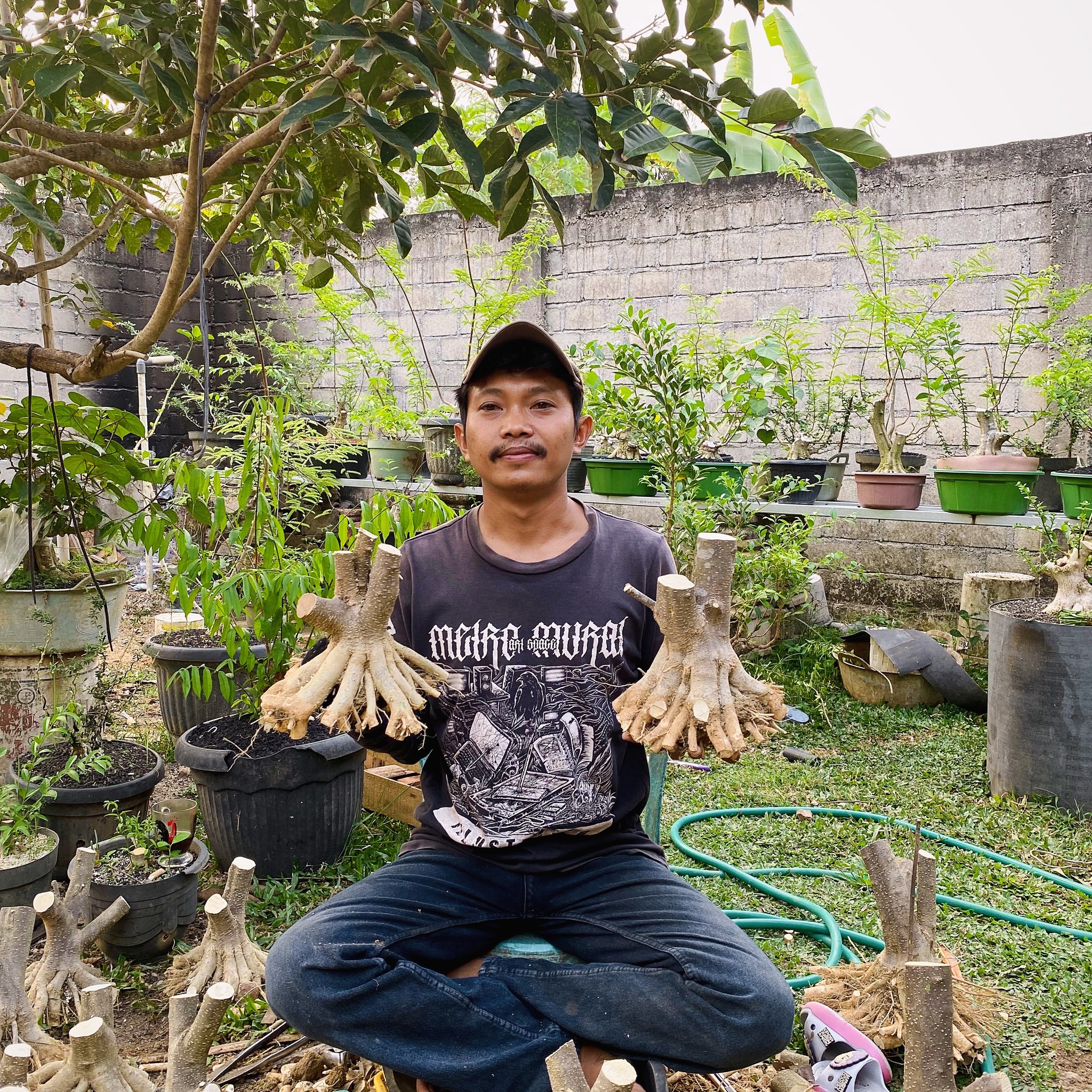 Remove shoots that interfere with branch enlargement 😬🌳 #bonsai #plants ...