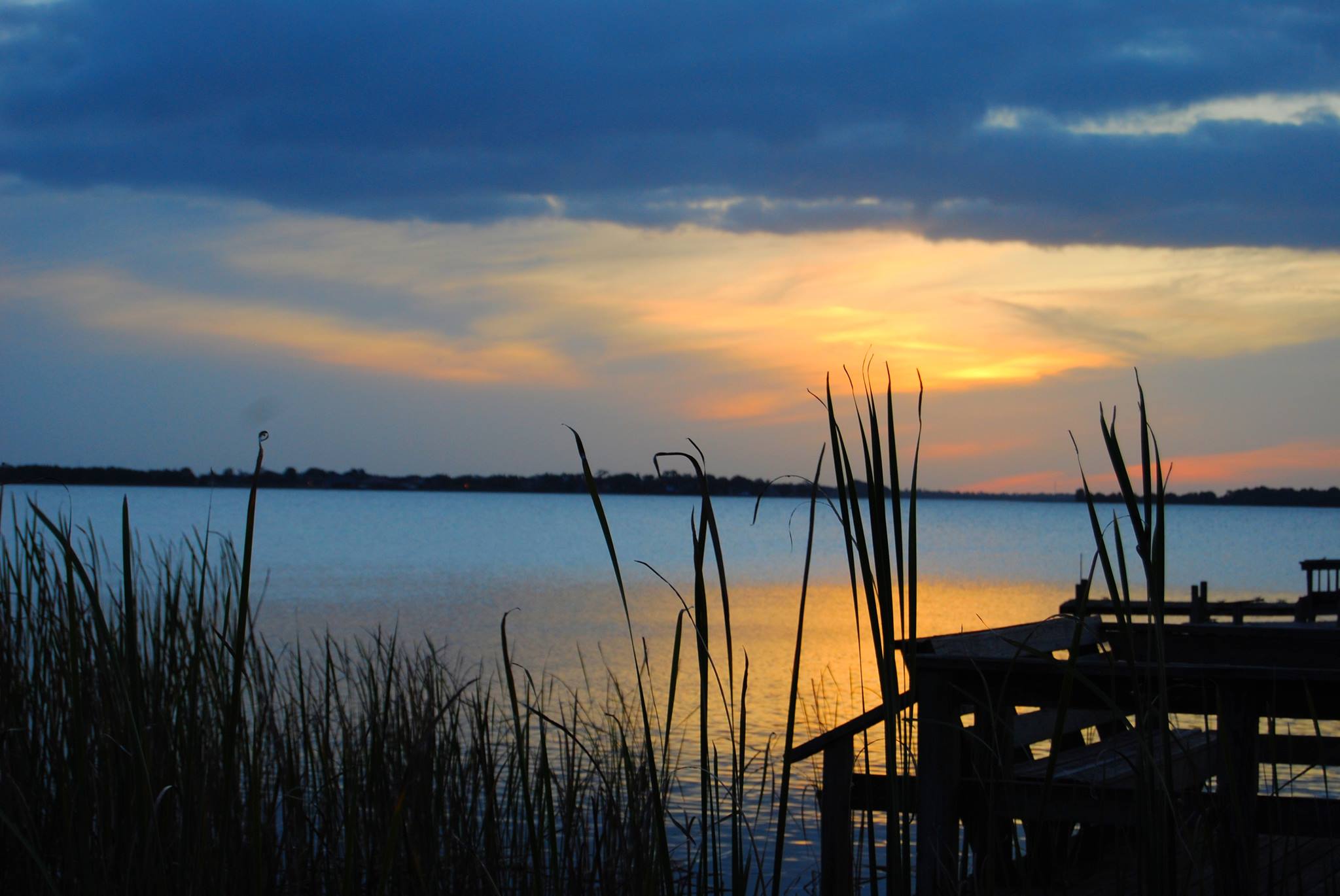 Sabal Springs Chronicles | Facebook