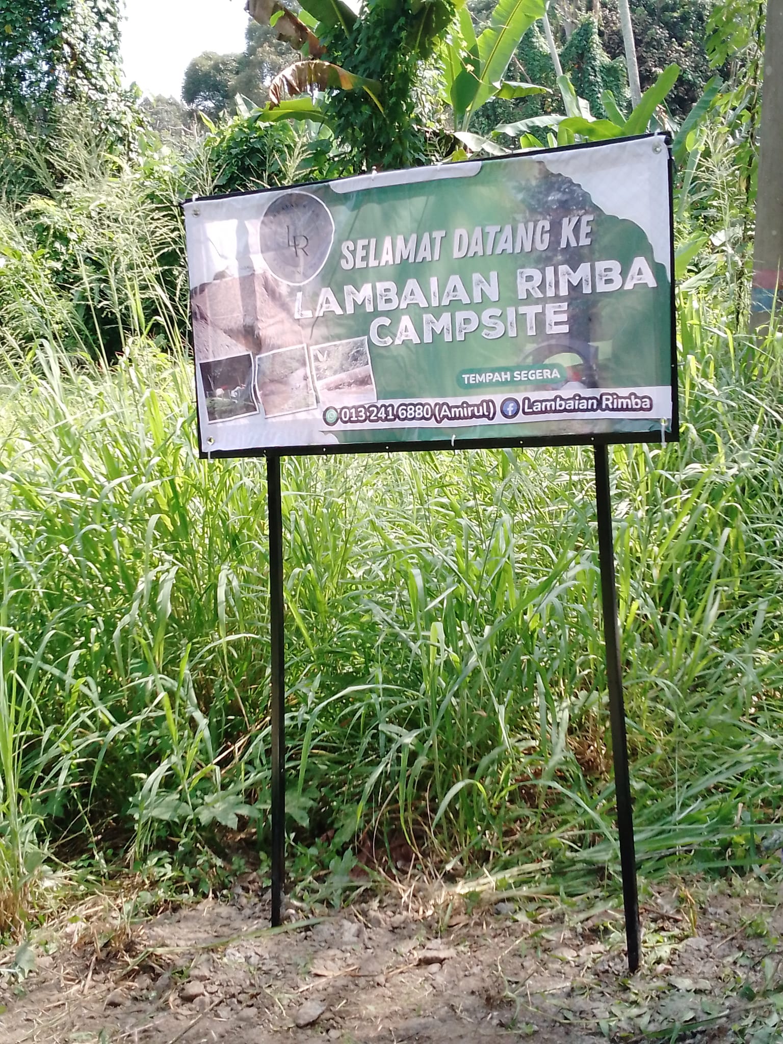 Lambaian Rimba | Bidor