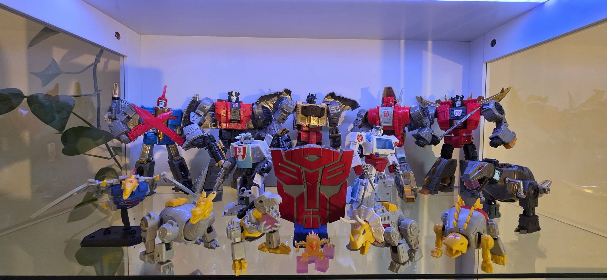 Transformers G1 shelf organization and upcoming CMD 3-pack