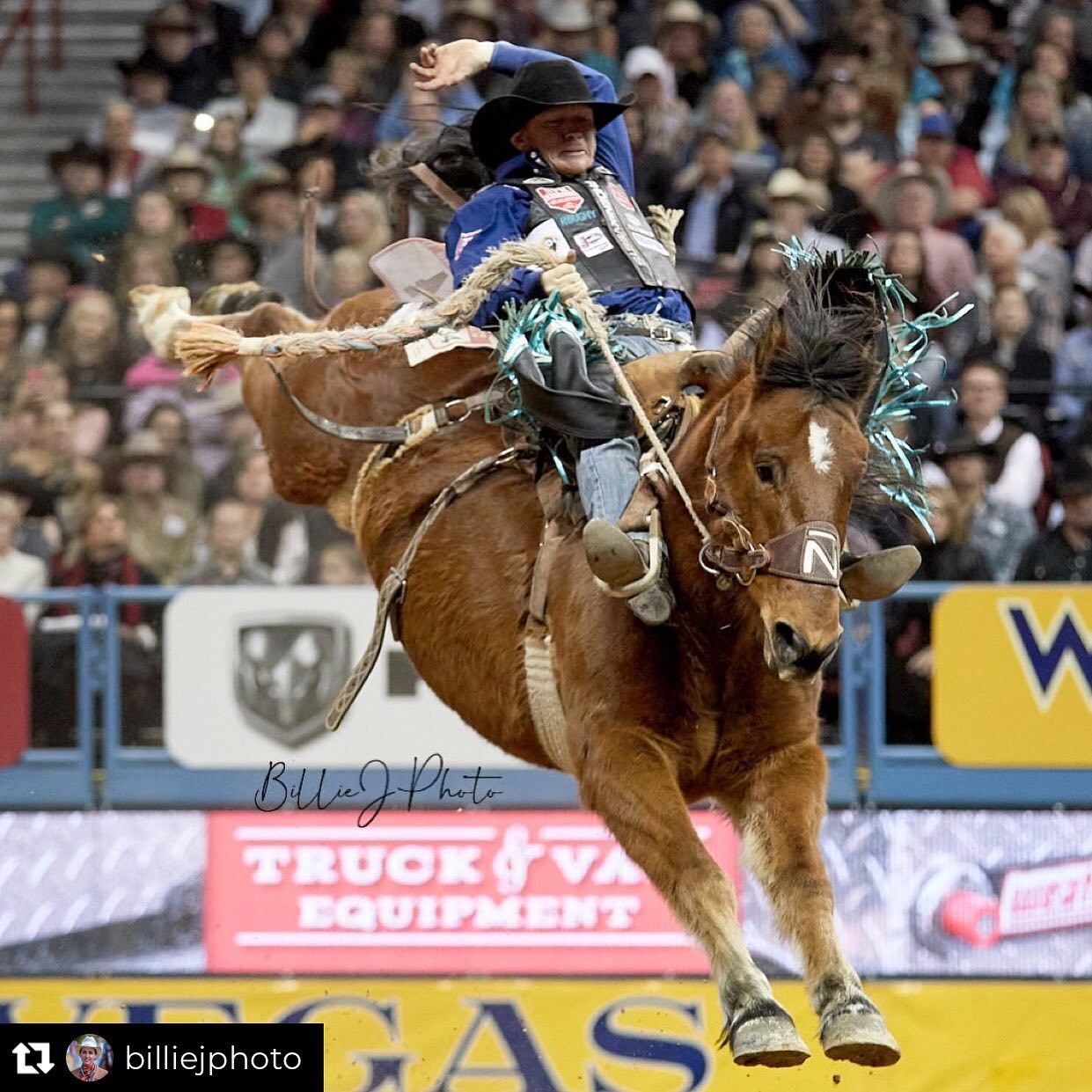 Get Smart, the 2019 PRCA Bronc of... - Bronc Riding Nation