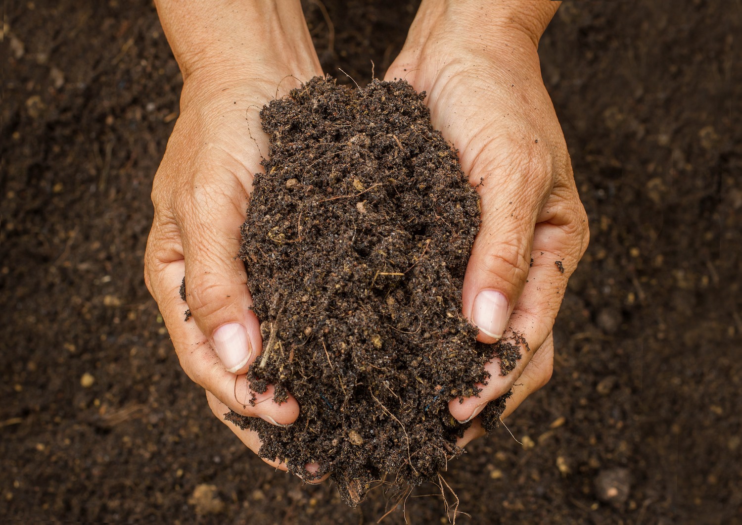 Intergro Inc.