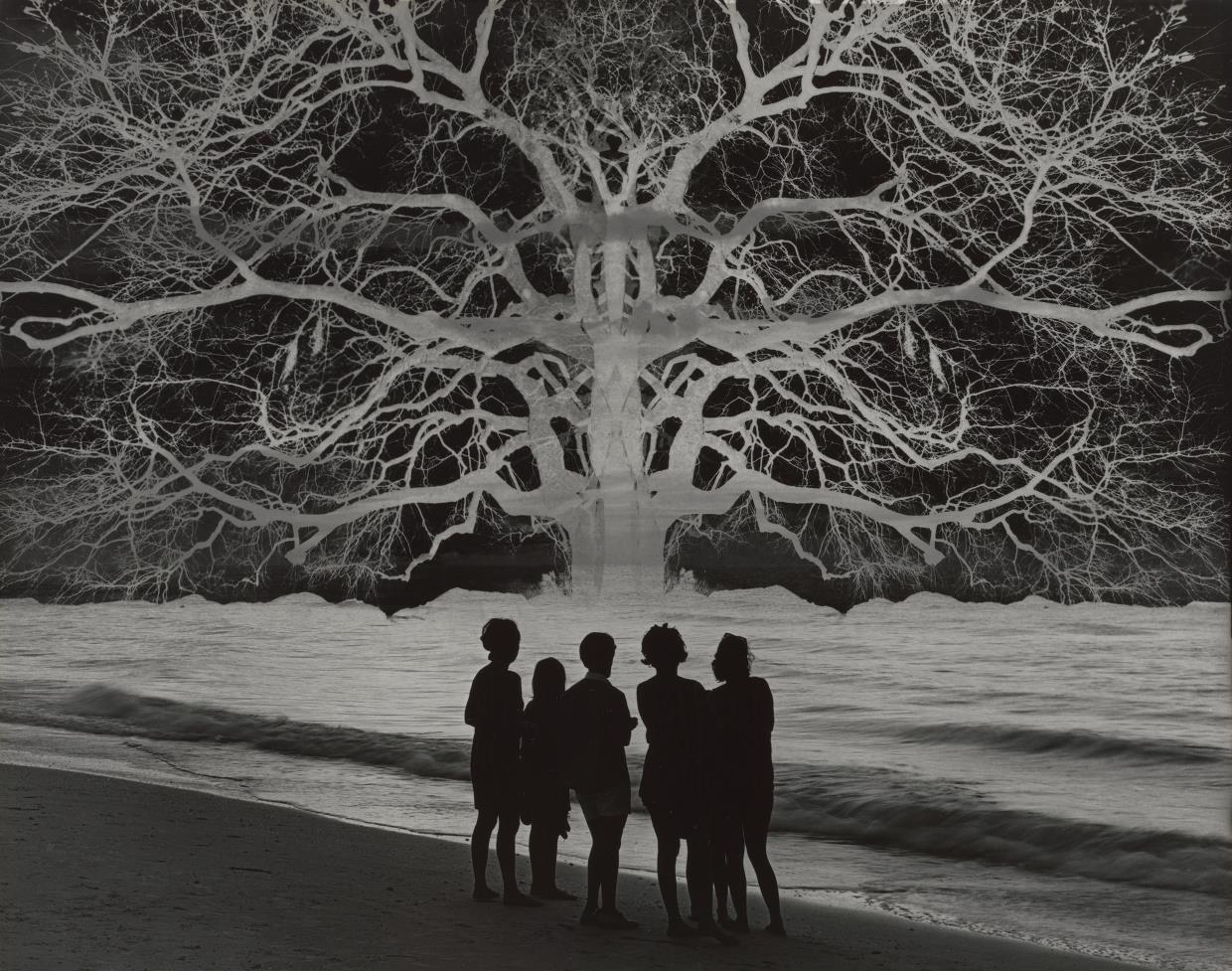 The Museum - Jerry Uelsmann (American, b. 1934) Apocalypse II (1967 ...
