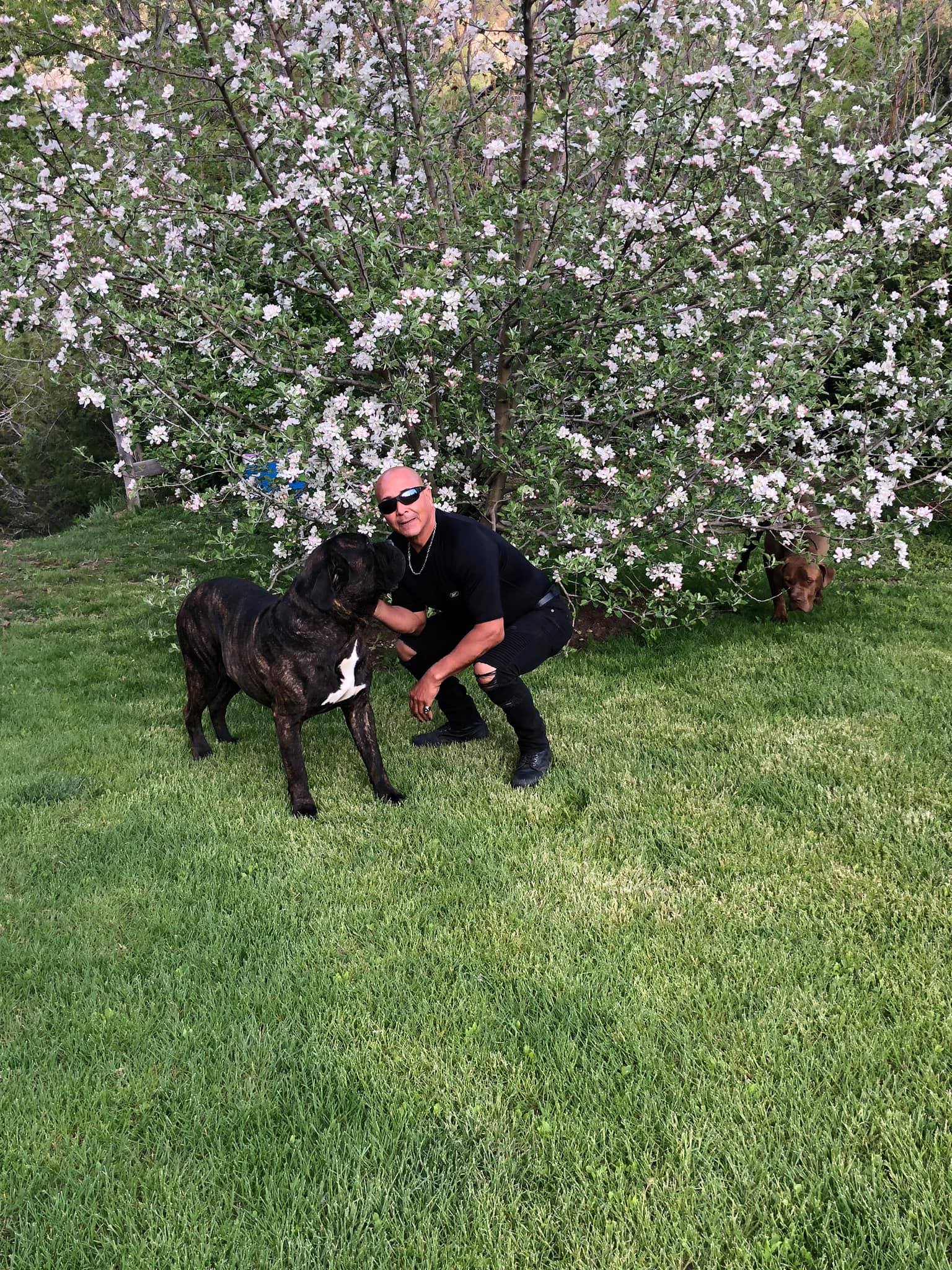 Chewy Alert This is my dog Vader he’s been missing for four weeks