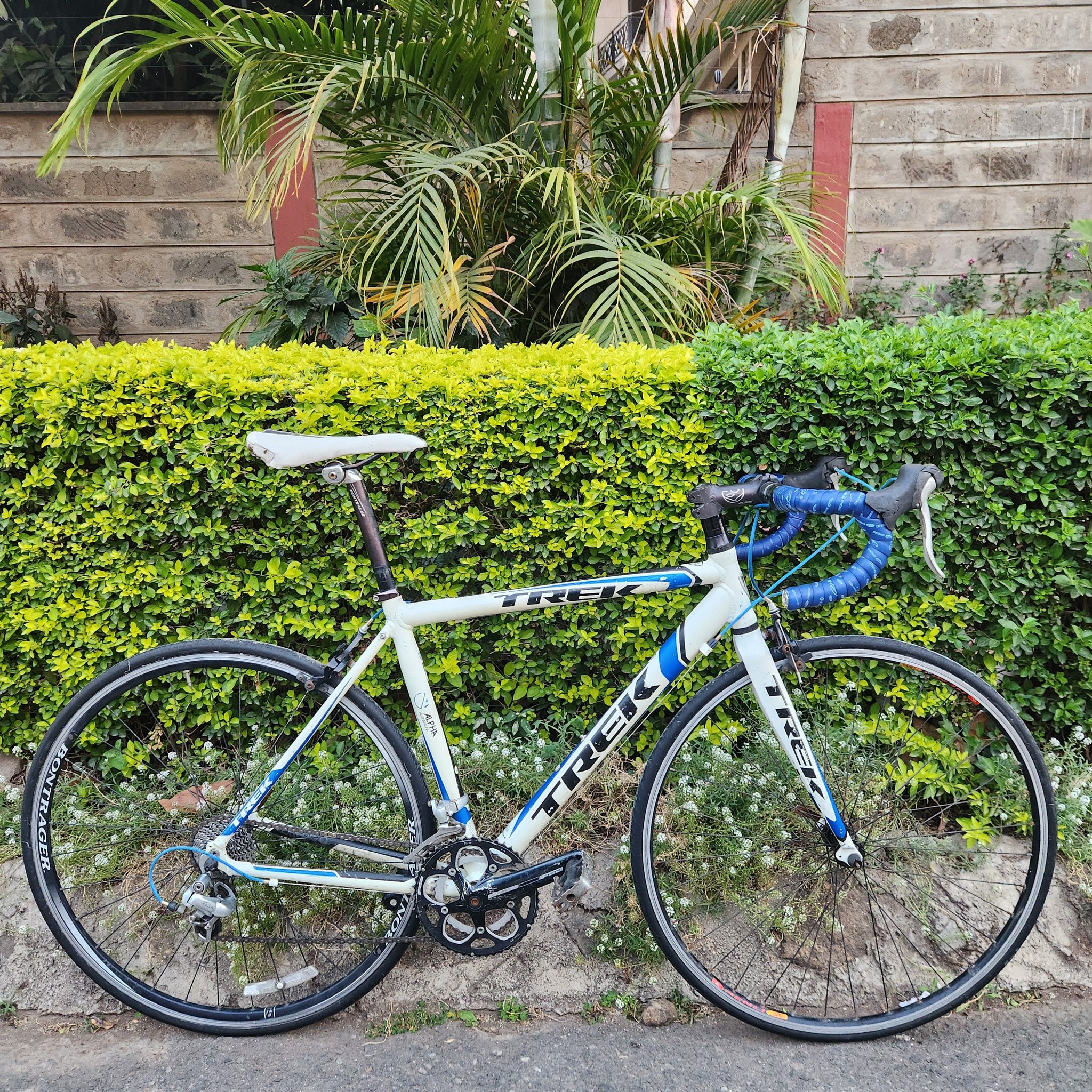 Trek alpha 1.2 road bike for sale