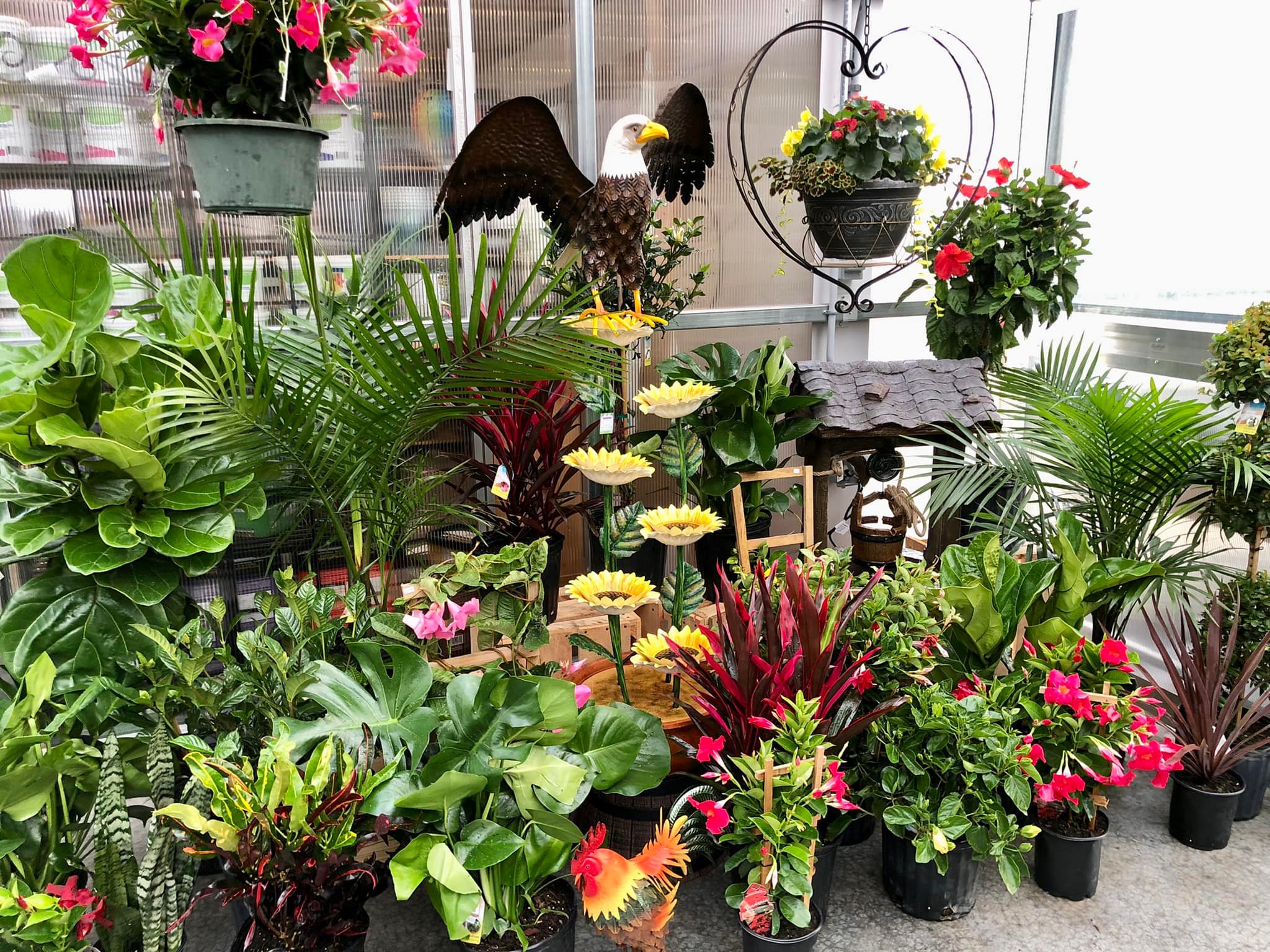 It's feeling tropical outside AND inside today! All our tropical