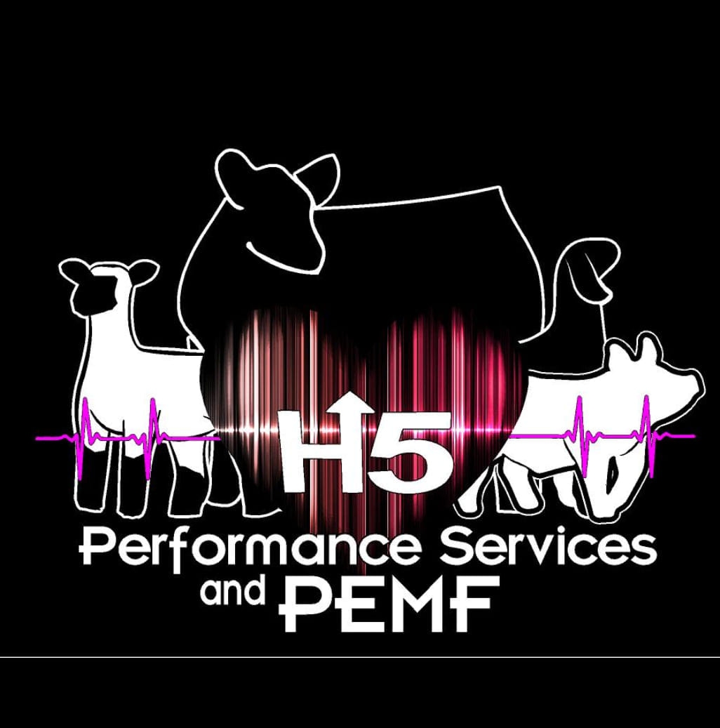 HI5 Performance Services LLC. & PEMF