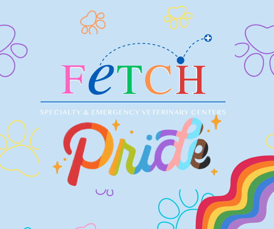 Fetch Specialty & Emergency Veterinary Centers - Brandon, FL - June is ...