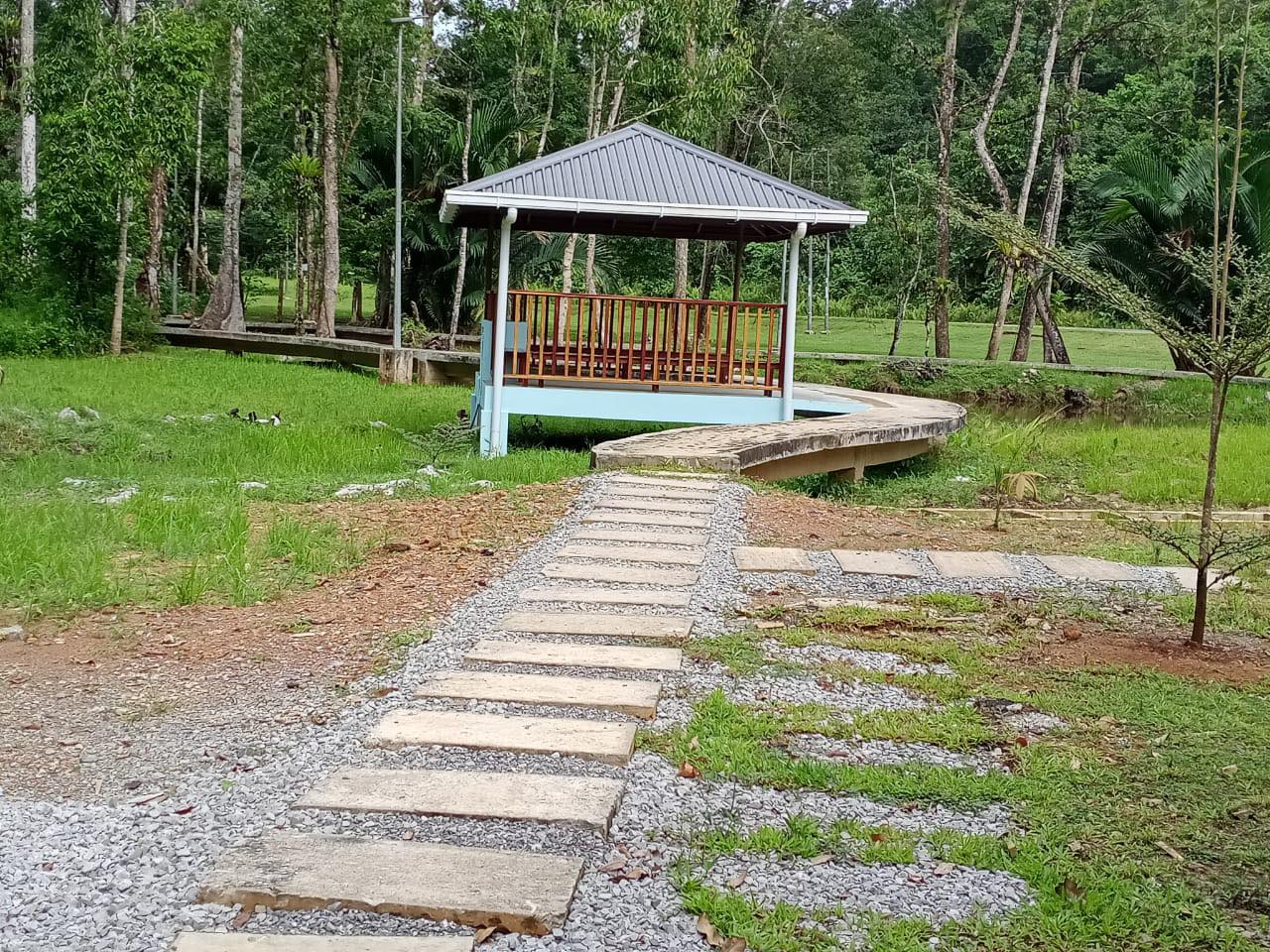 Paku Hot Springs | Bau