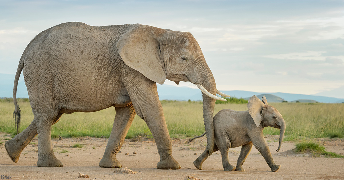 What does nature mean to you? Why is it important to you? Share