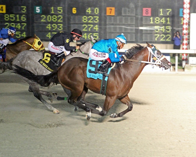 Q-Racing - The Louisiana-bred racing Quarter Horse was... | Facebook