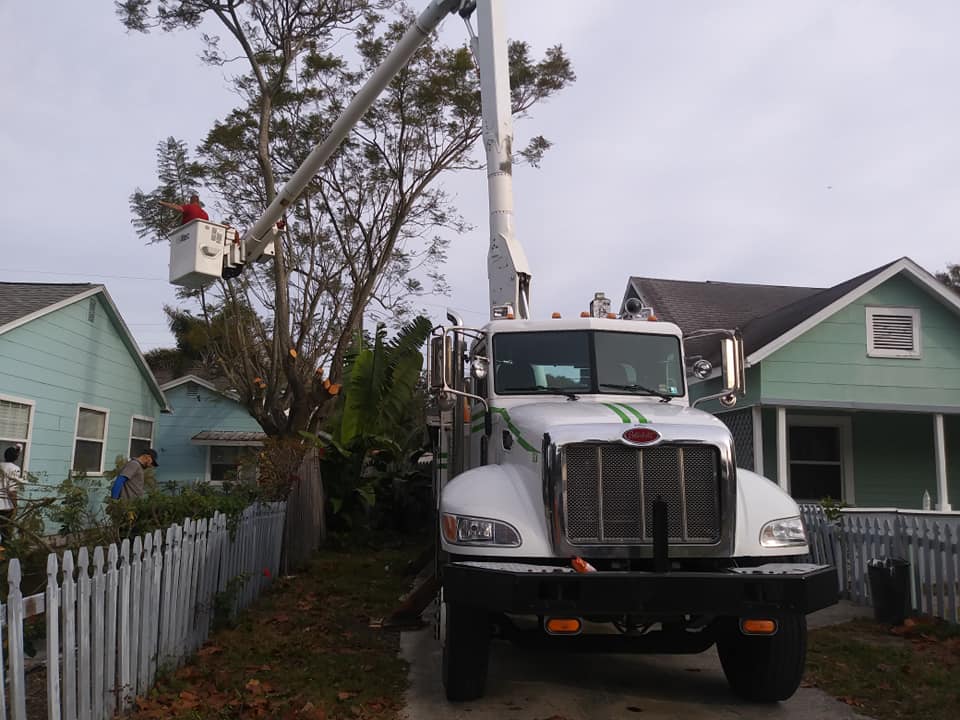 CPL Tree Service and Landscaping | Pinellas Park FL