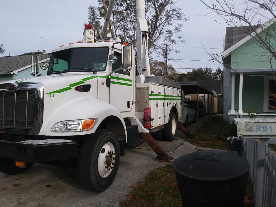 CPL Tree Service and Landscaping | Pinellas Park FL