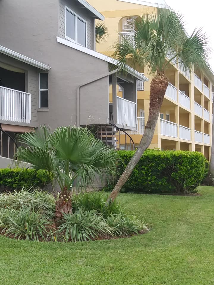 CPL Tree Service and Landscaping | Pinellas Park FL
