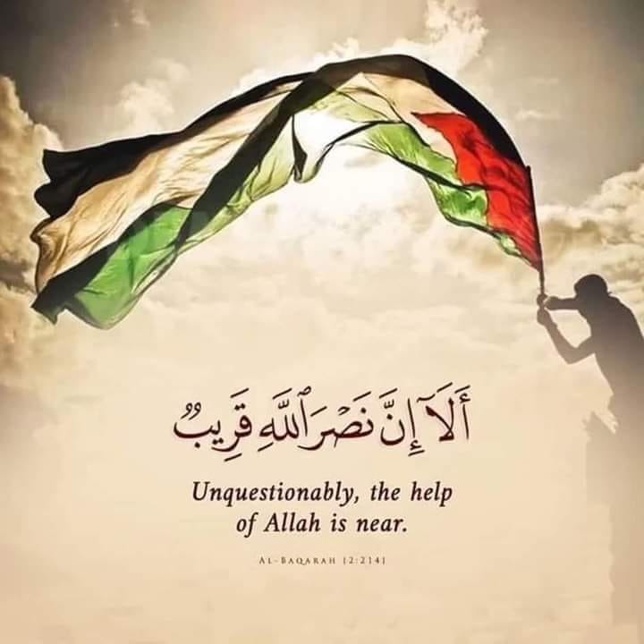 Shomoos ELkady