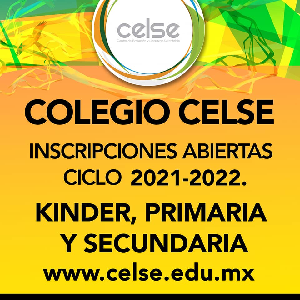 CELSE Colegio - Home