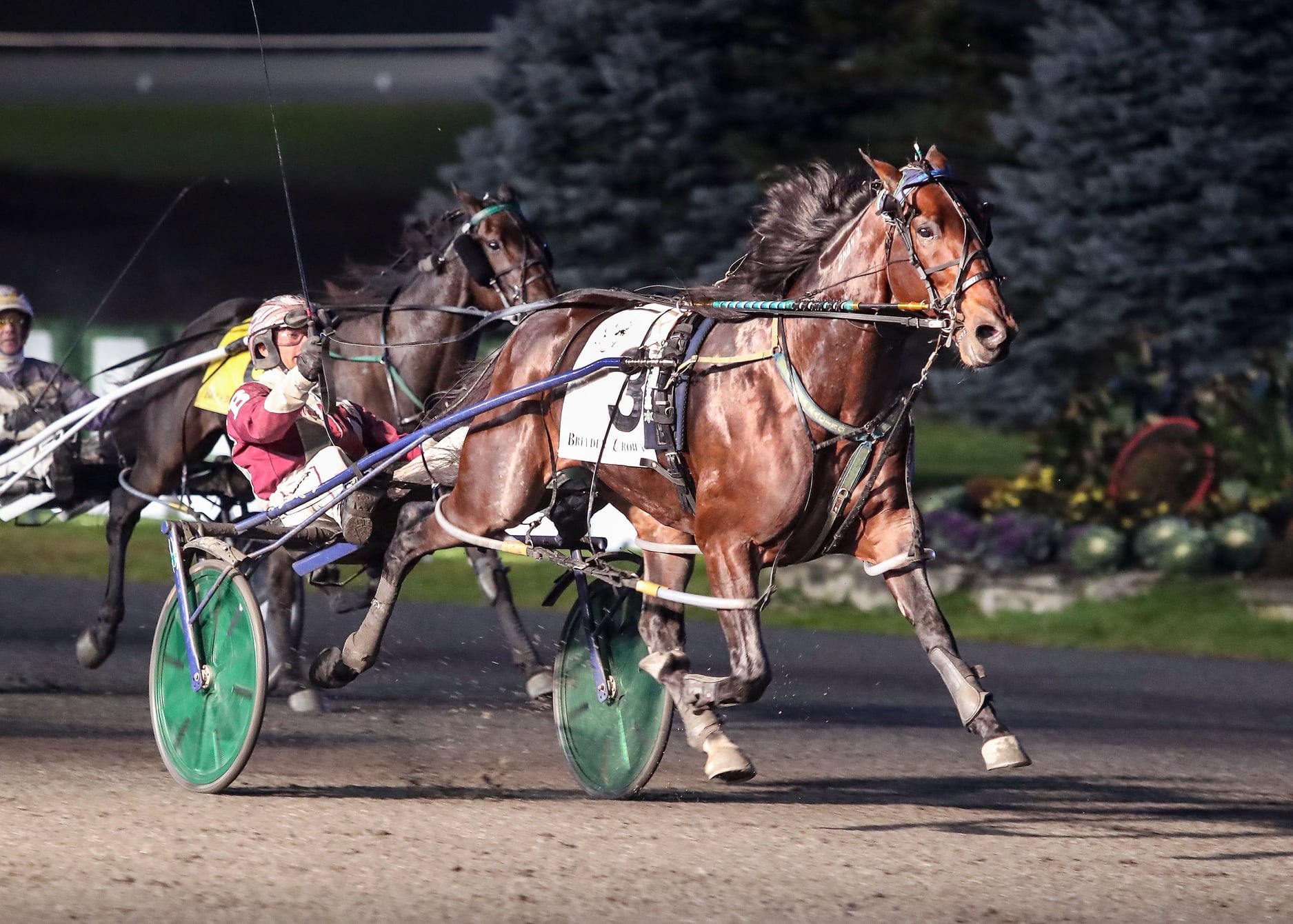 Visit https://bit.ly/2R80yYQ for... - Rosecroft Raceway