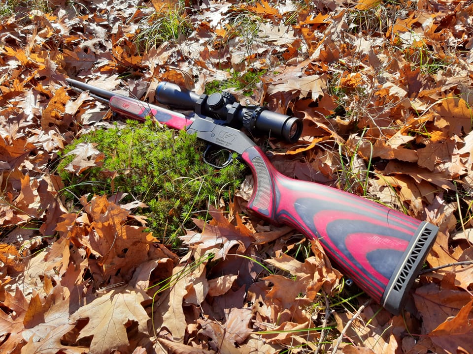 Smokeless muzzleloading | what amount of power and what speeds is ...