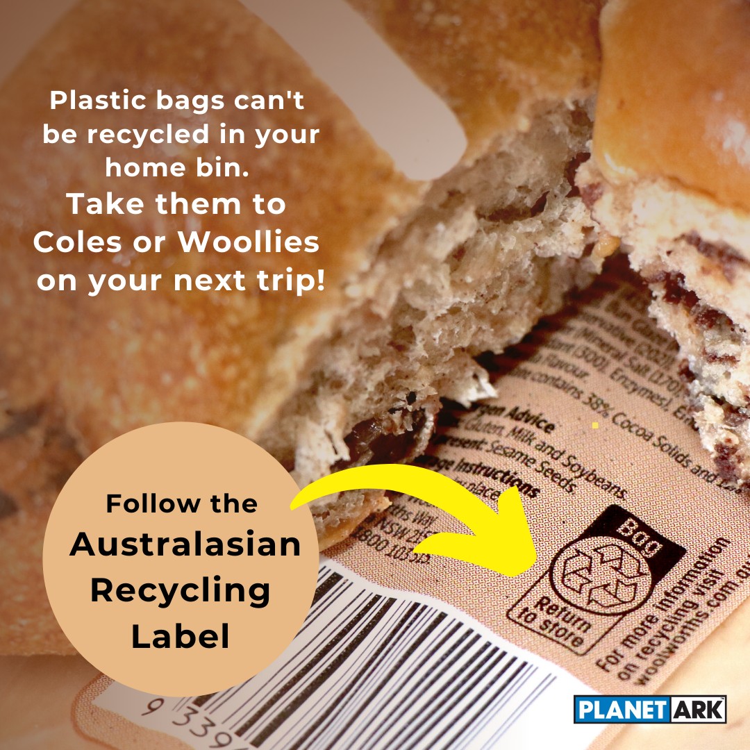 Shoalhaven - ♻️ Look for the Label! Australasian Recycling Label can be ...