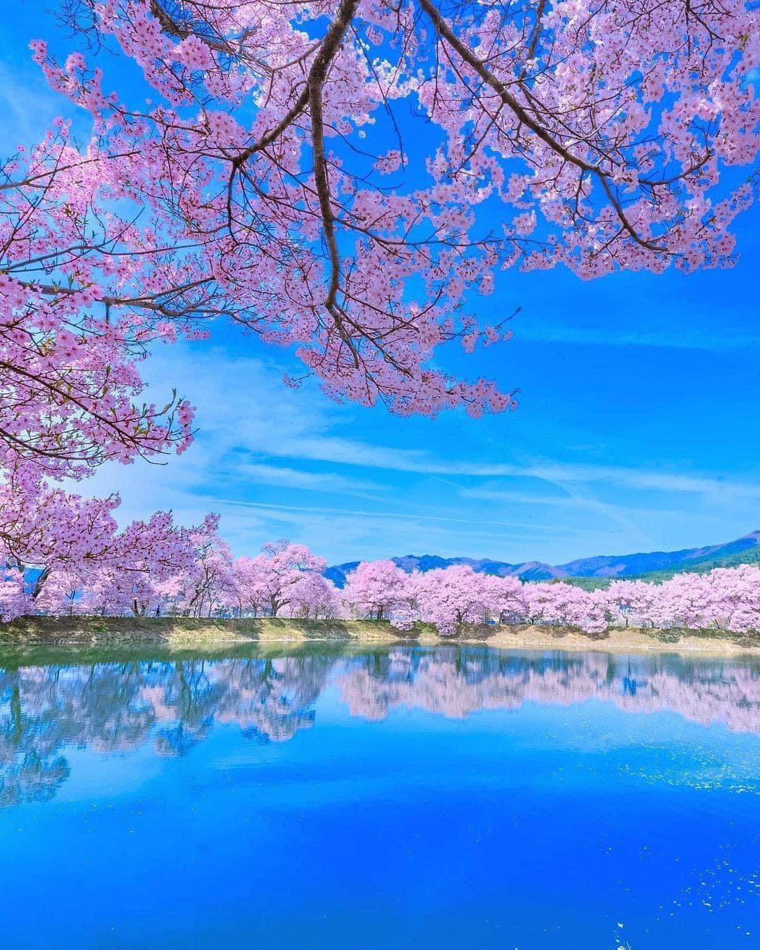 Located in Nagano, Hanamomo-no-Sato beckons with its captivating