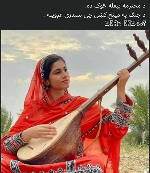 شاعرانه شیبی