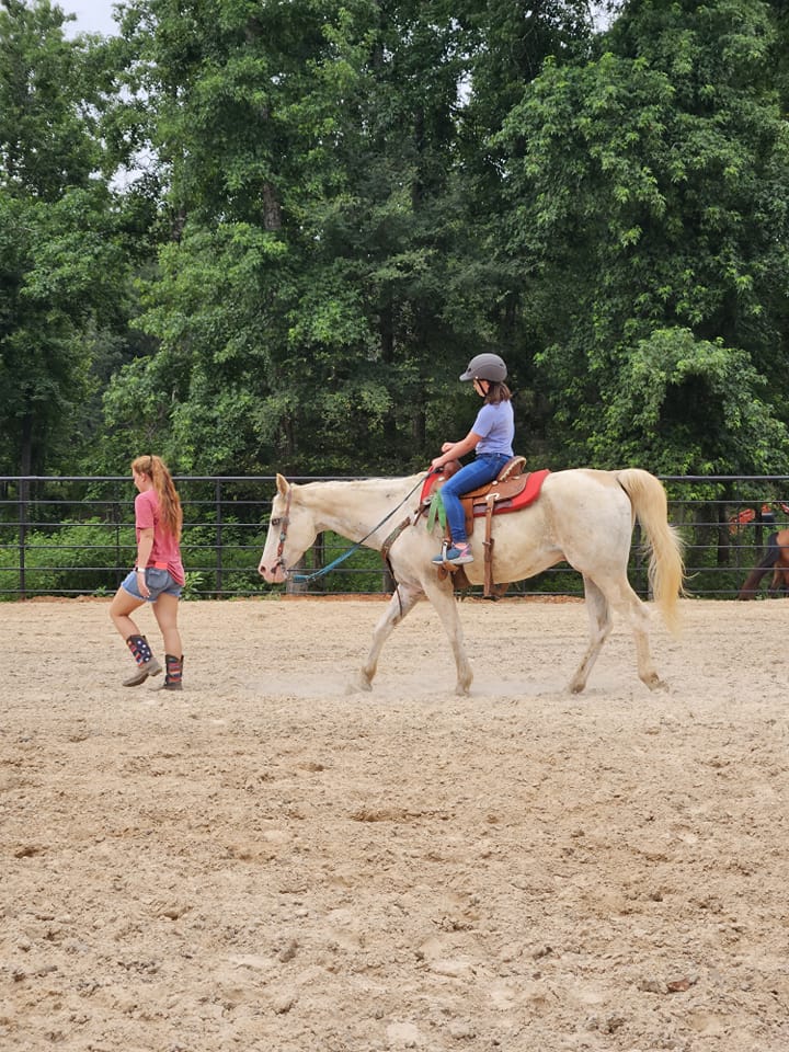 North East Texas Horse Sales - TI | Facebook