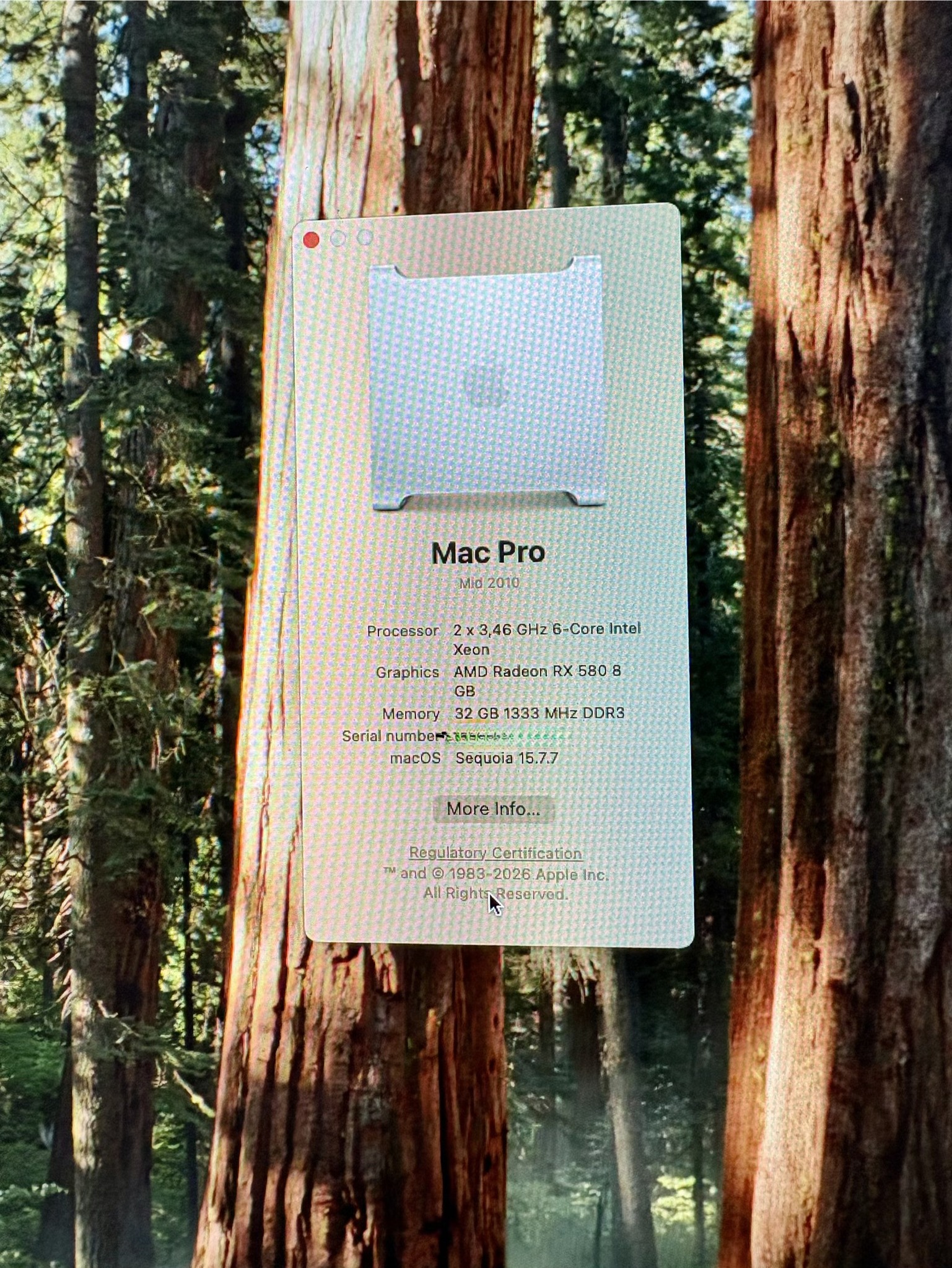 Sequoia and Windows 11 on Mac Pro 5,1
