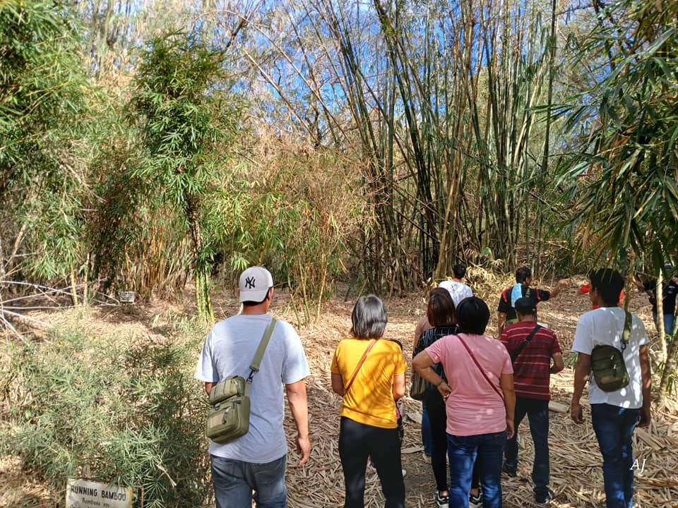 PSAU Bamboo and Rattan RDE Center | Magalang