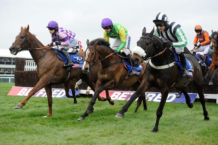 Paul Webber Racing - Rupert in the Betfair Chase Grade 1 against Kauto ...