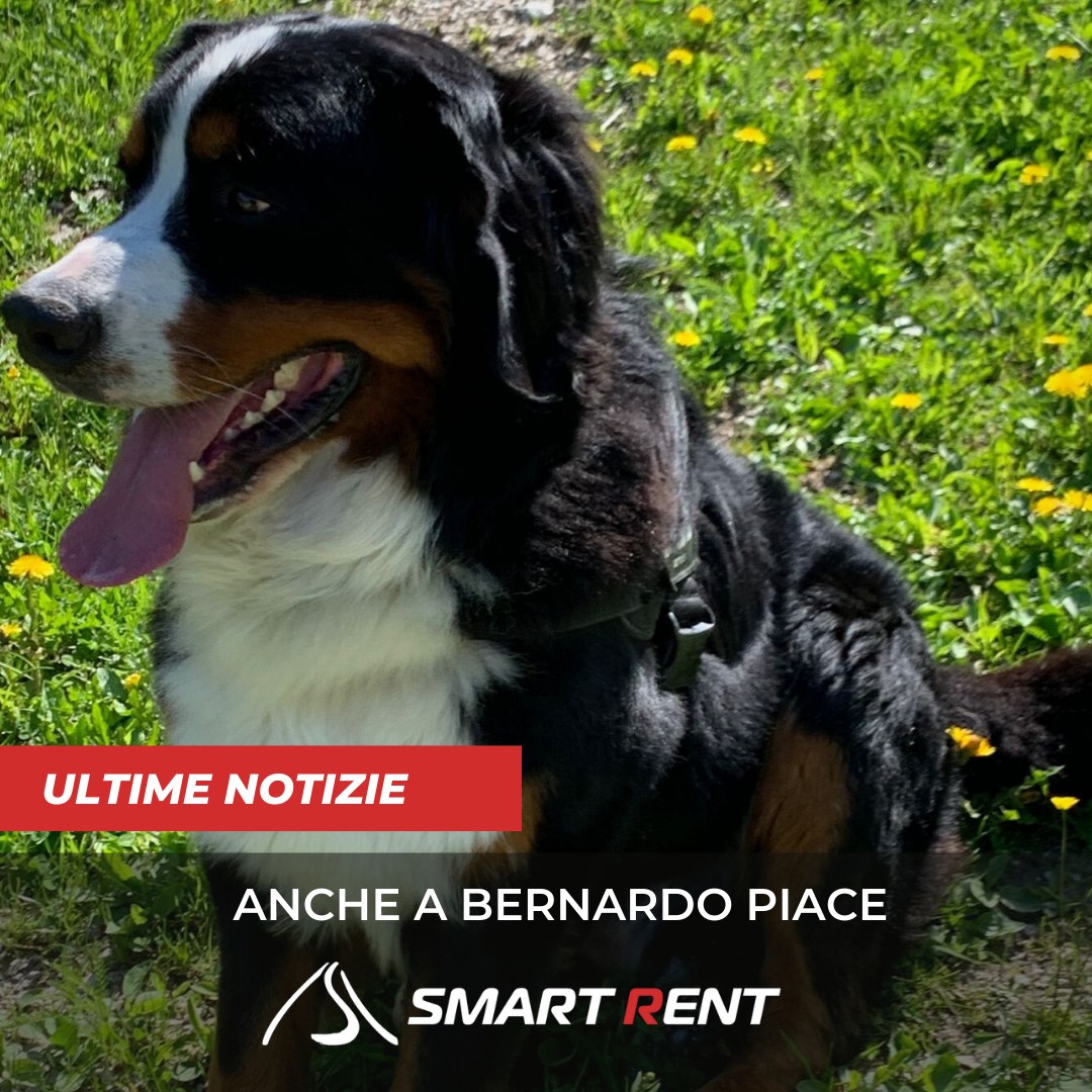 Se vuoi vedere le più belle cime... - Smart Rent Alleghe
